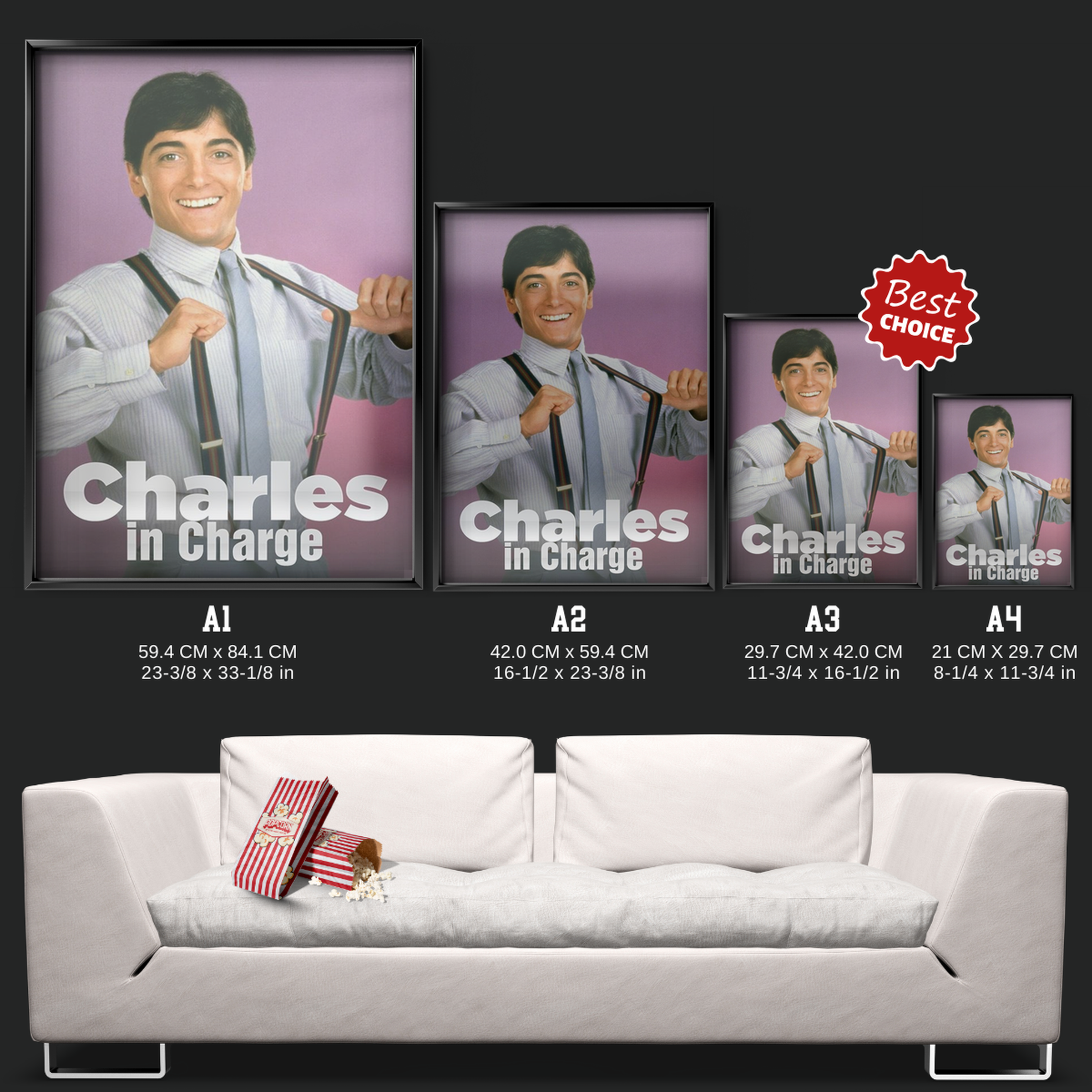 Charles In Charge (1984)