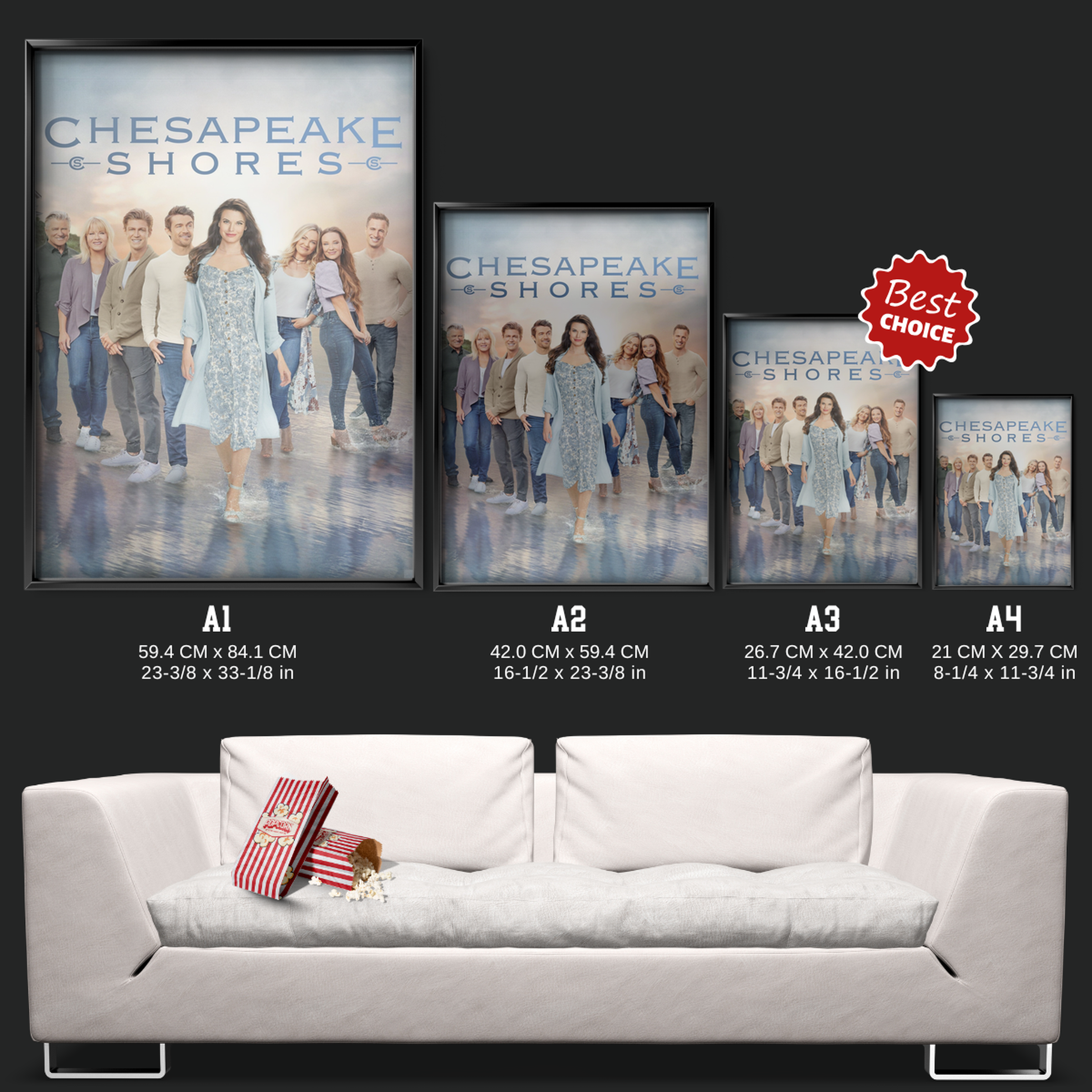 Chesapeake Shores (2016)