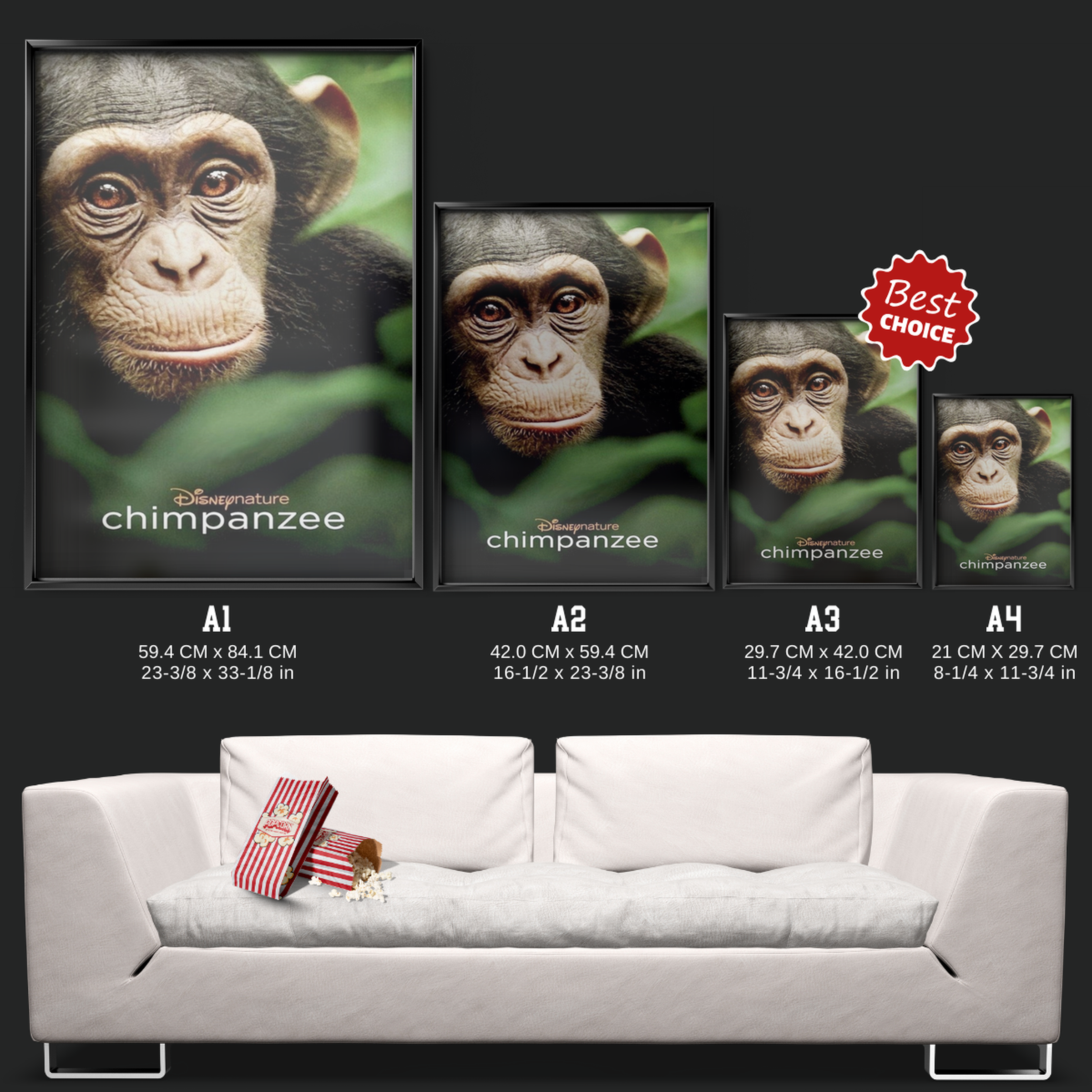 Chimpanzee (2012)