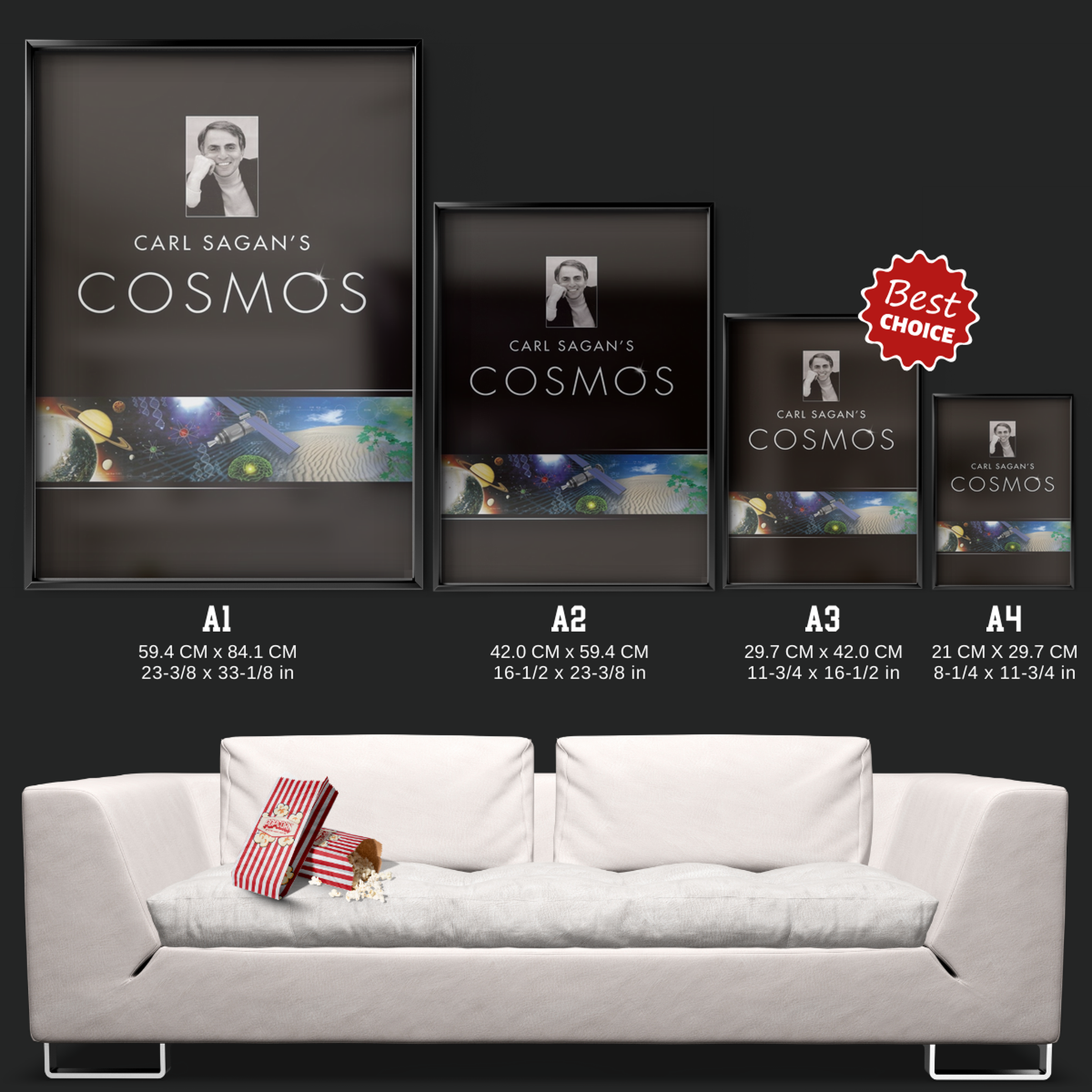 Cosmos A Personal Voyage (1980)