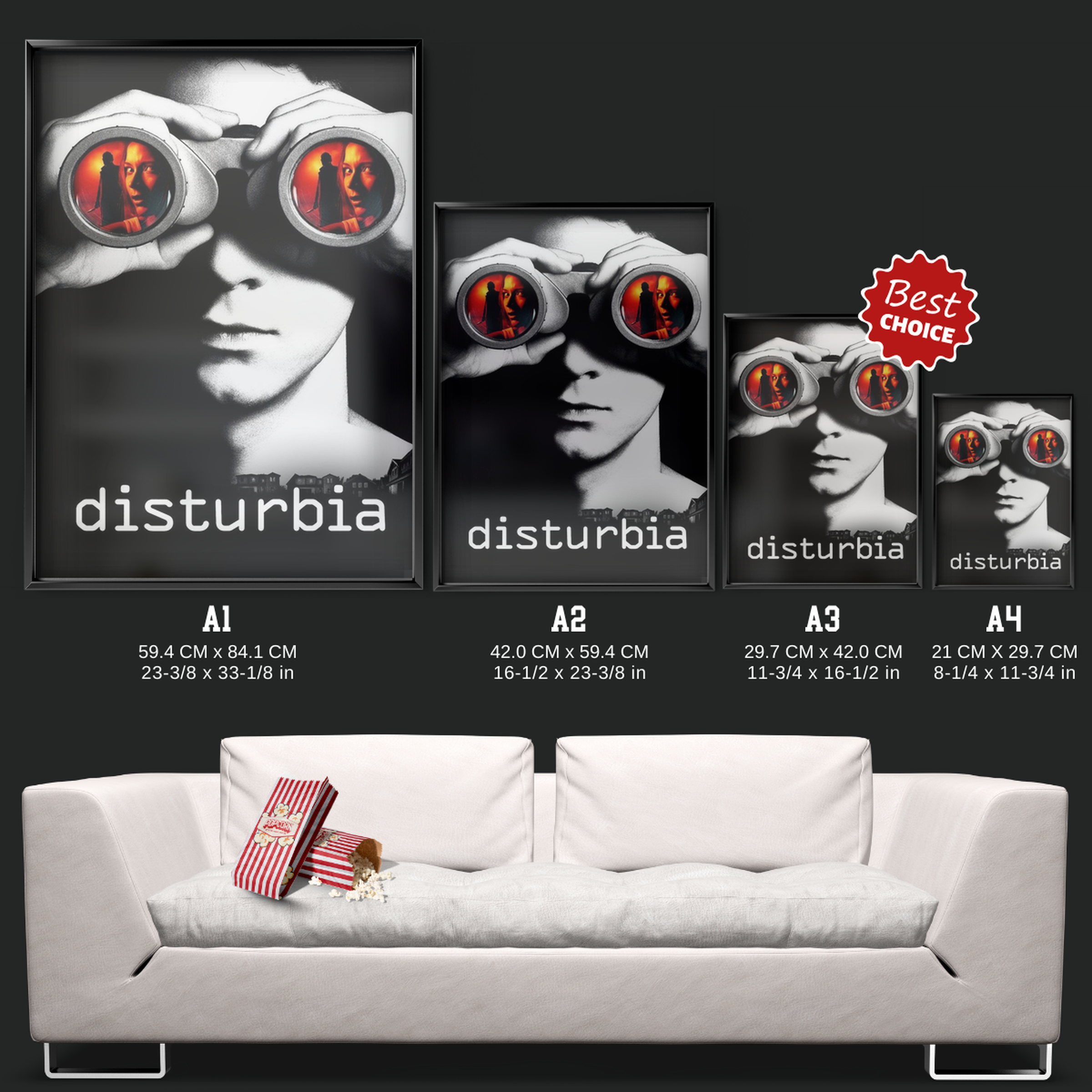 Disturbia (2007)