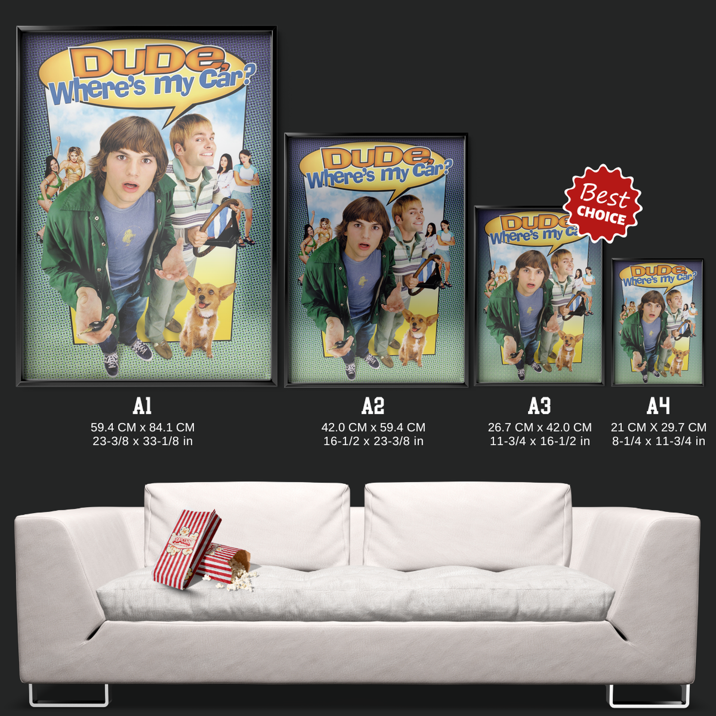 Dude, Where's My Car (2000)