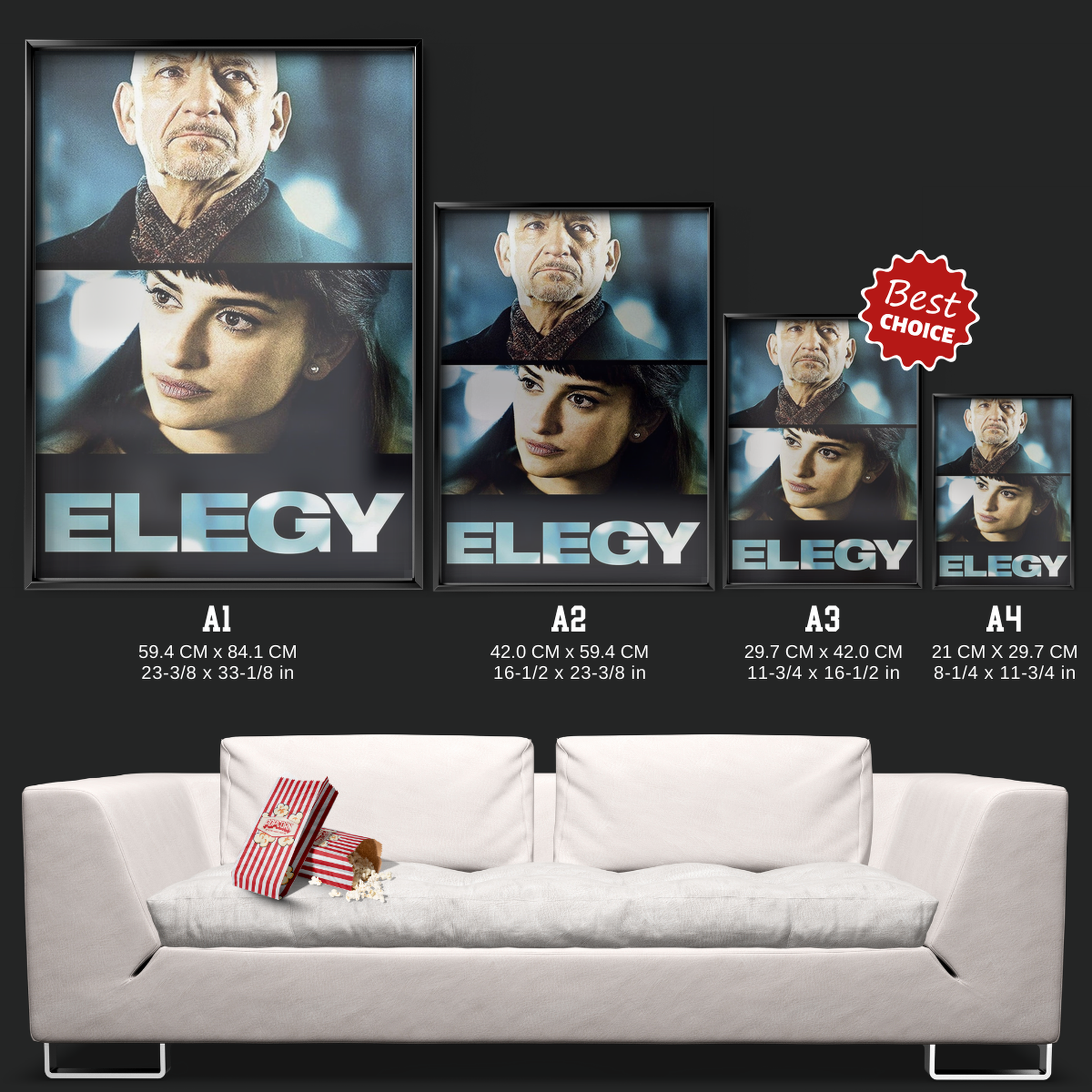 Elegy (2008)