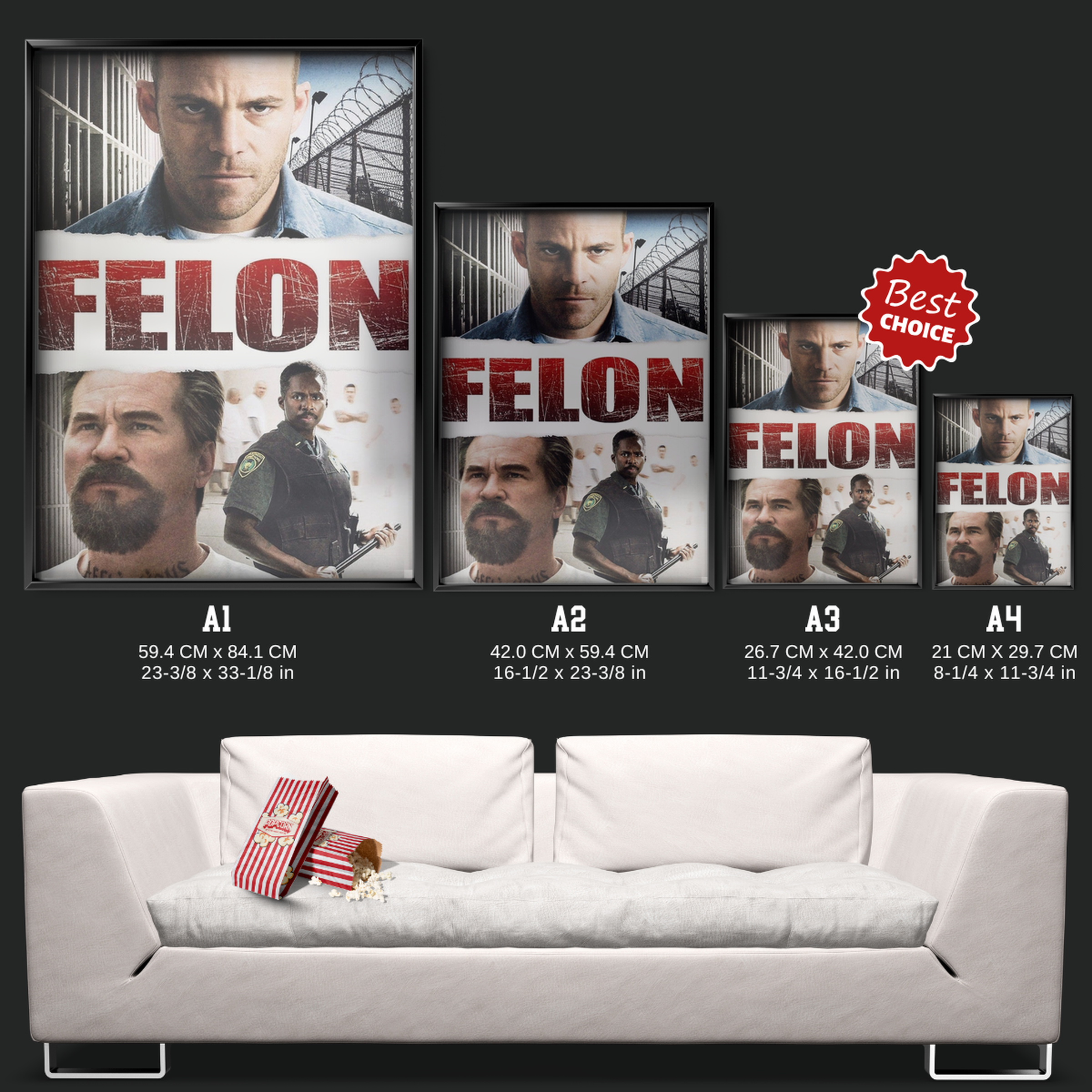 Felon (2008)