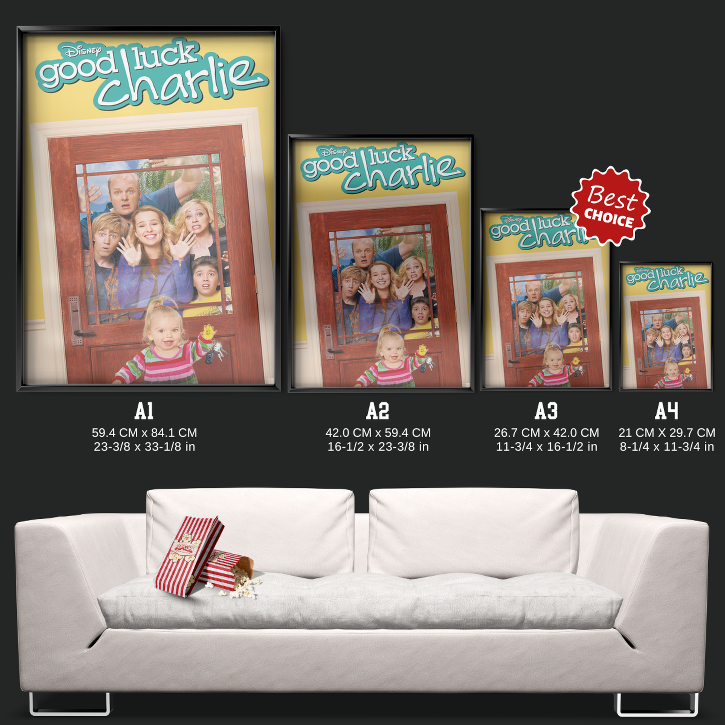 Good Luck Charlie (2010)