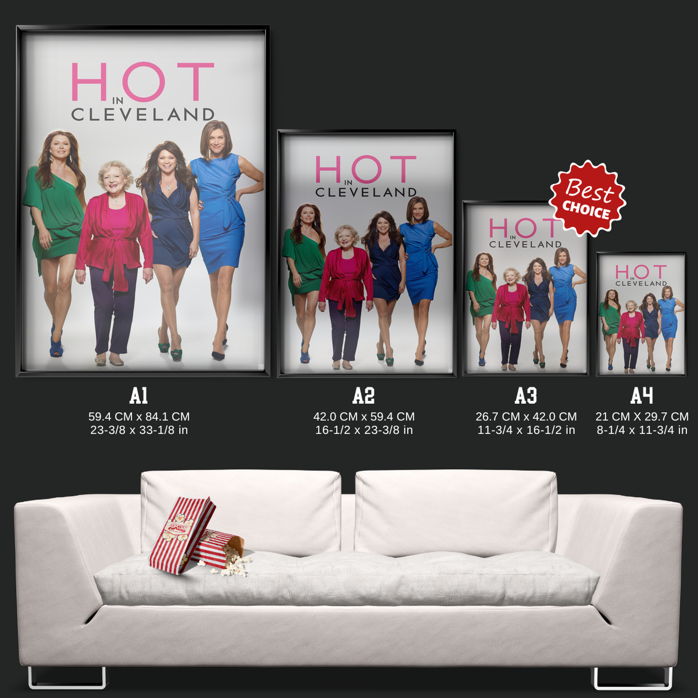 Hot In Cleveland (2010)