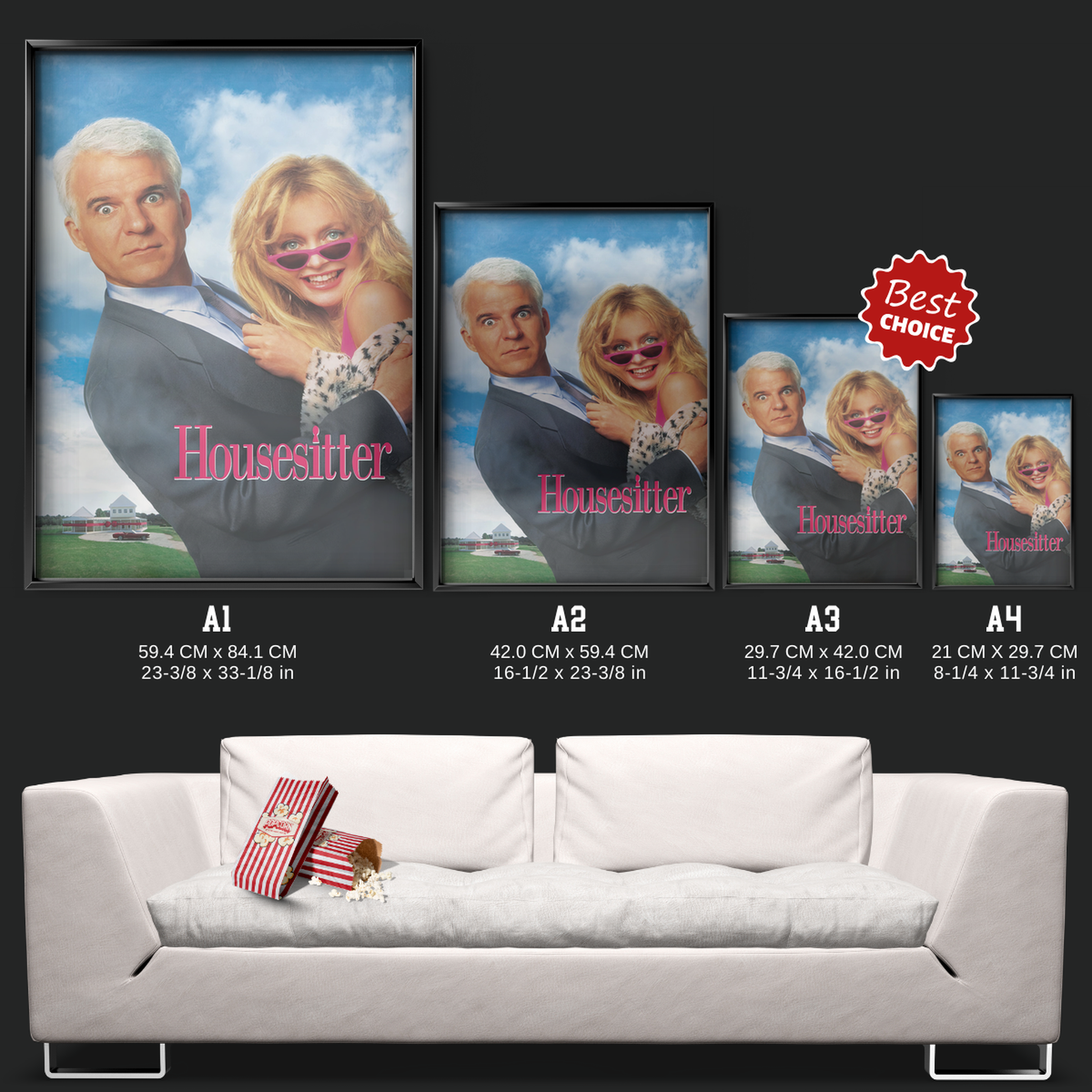 Housesitter (1992)