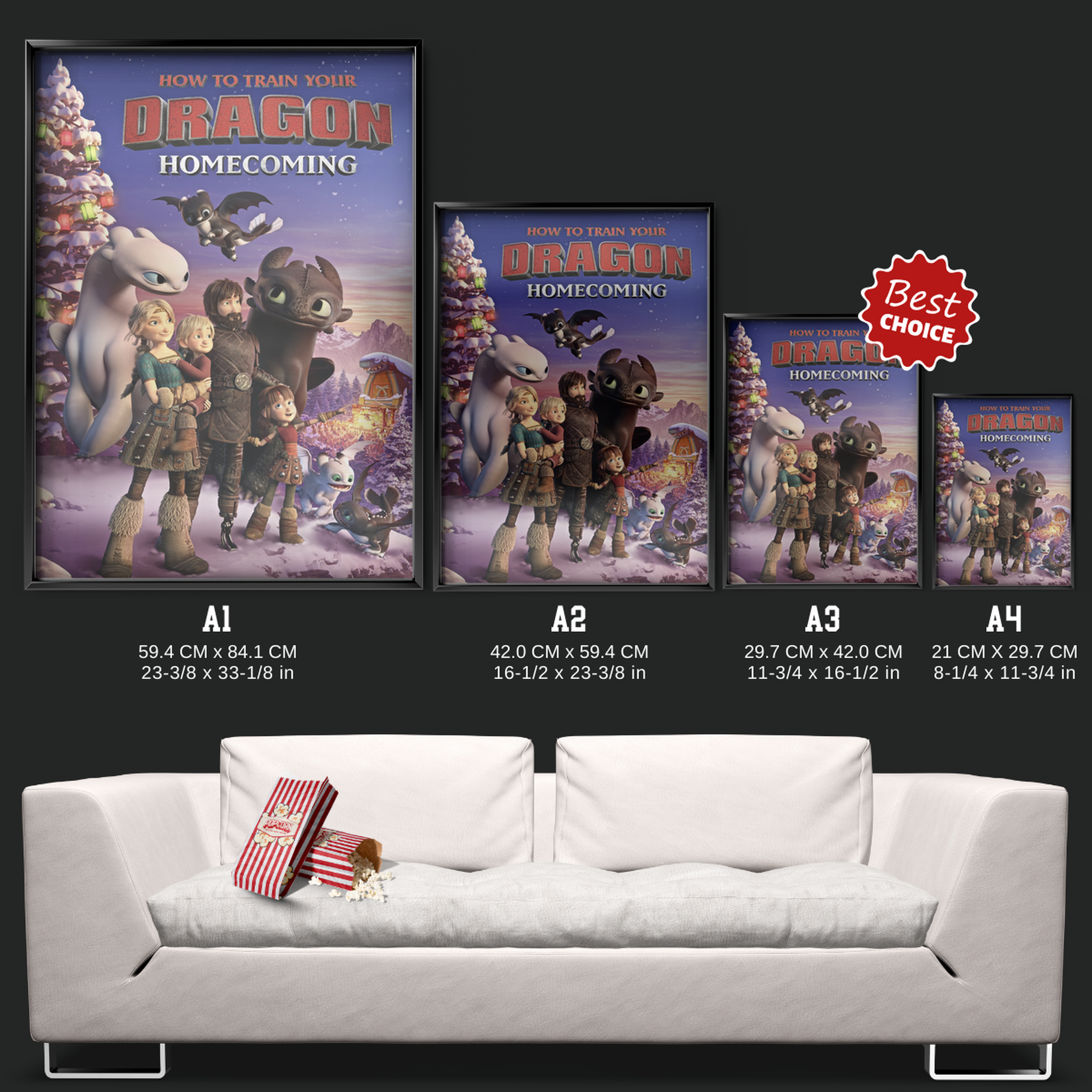 How To Train Your Dragon Homecoming (2019)