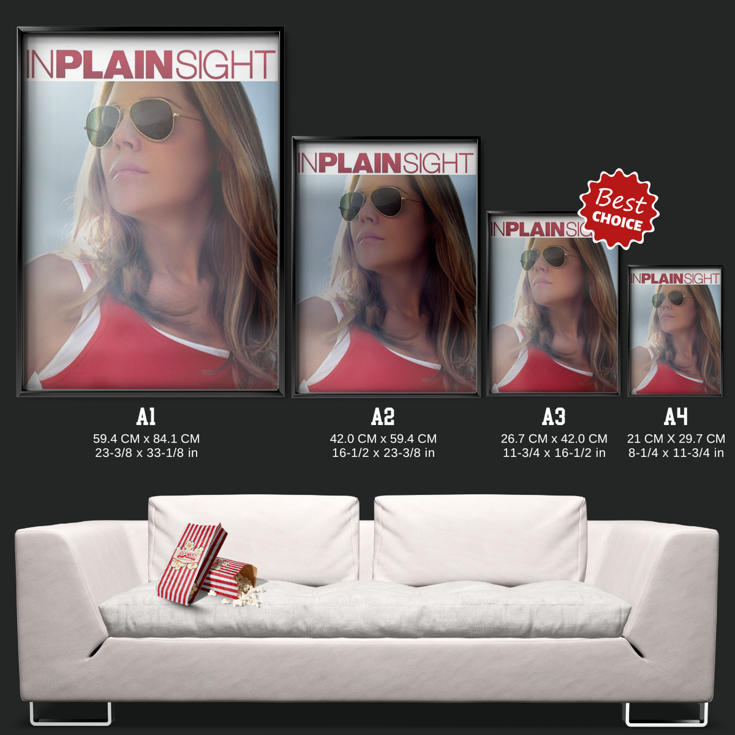 In Plain Sight (2008)