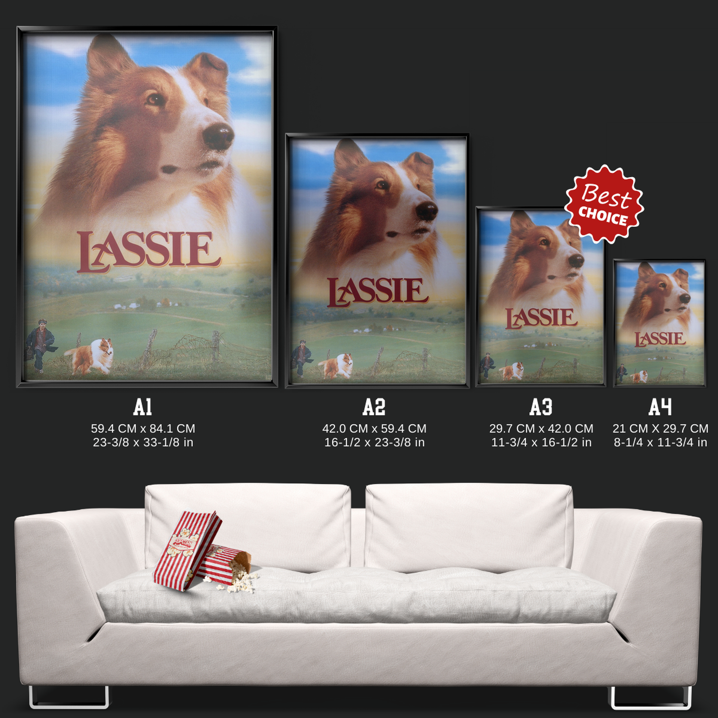 Lassie (1994)