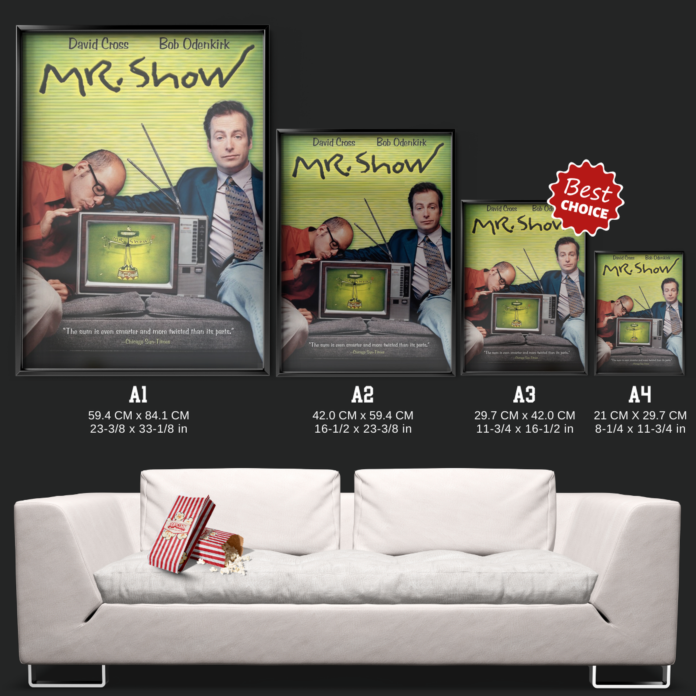 Mr. Show With Bob And David (1995)