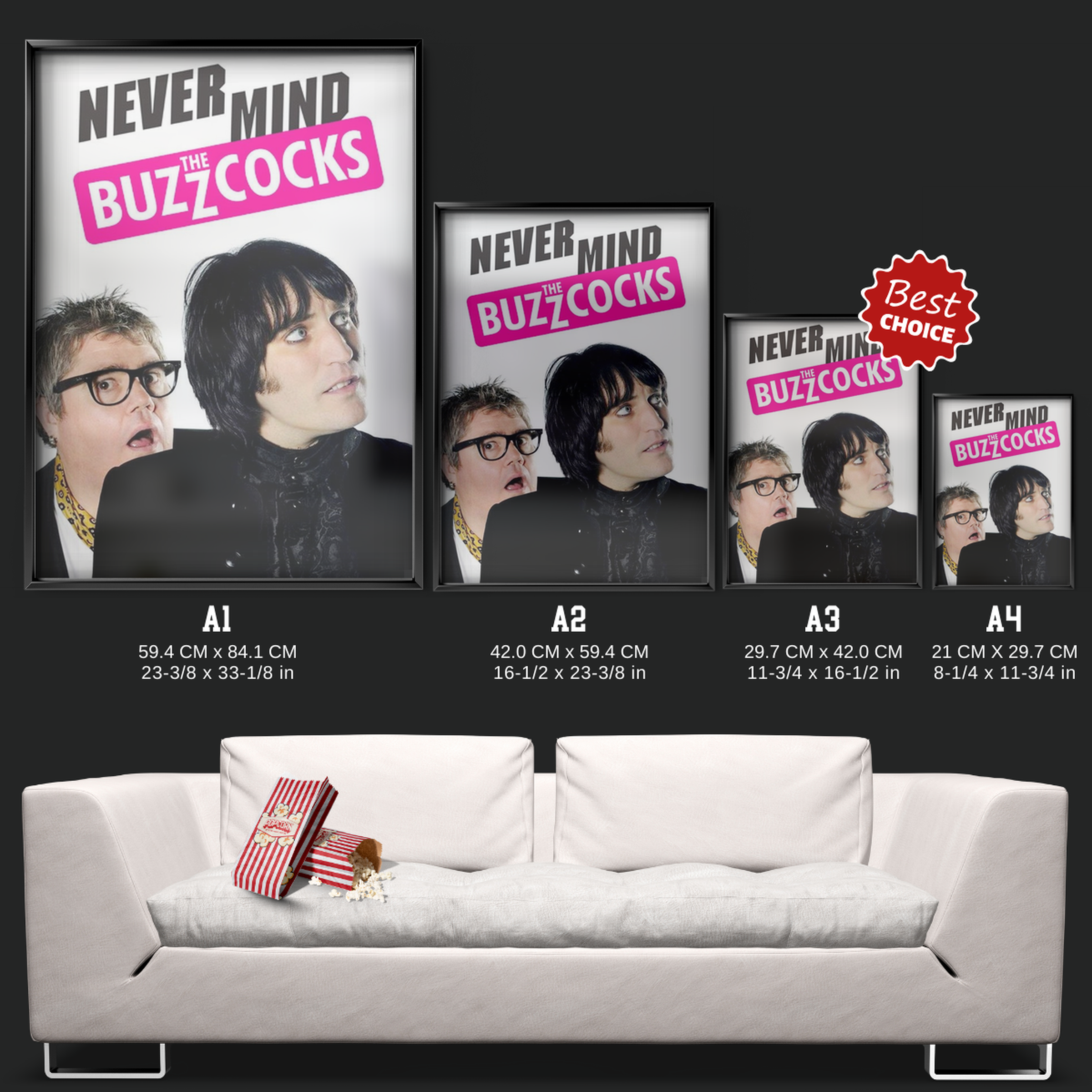 Never Mind The Buzzcocks (1996)
