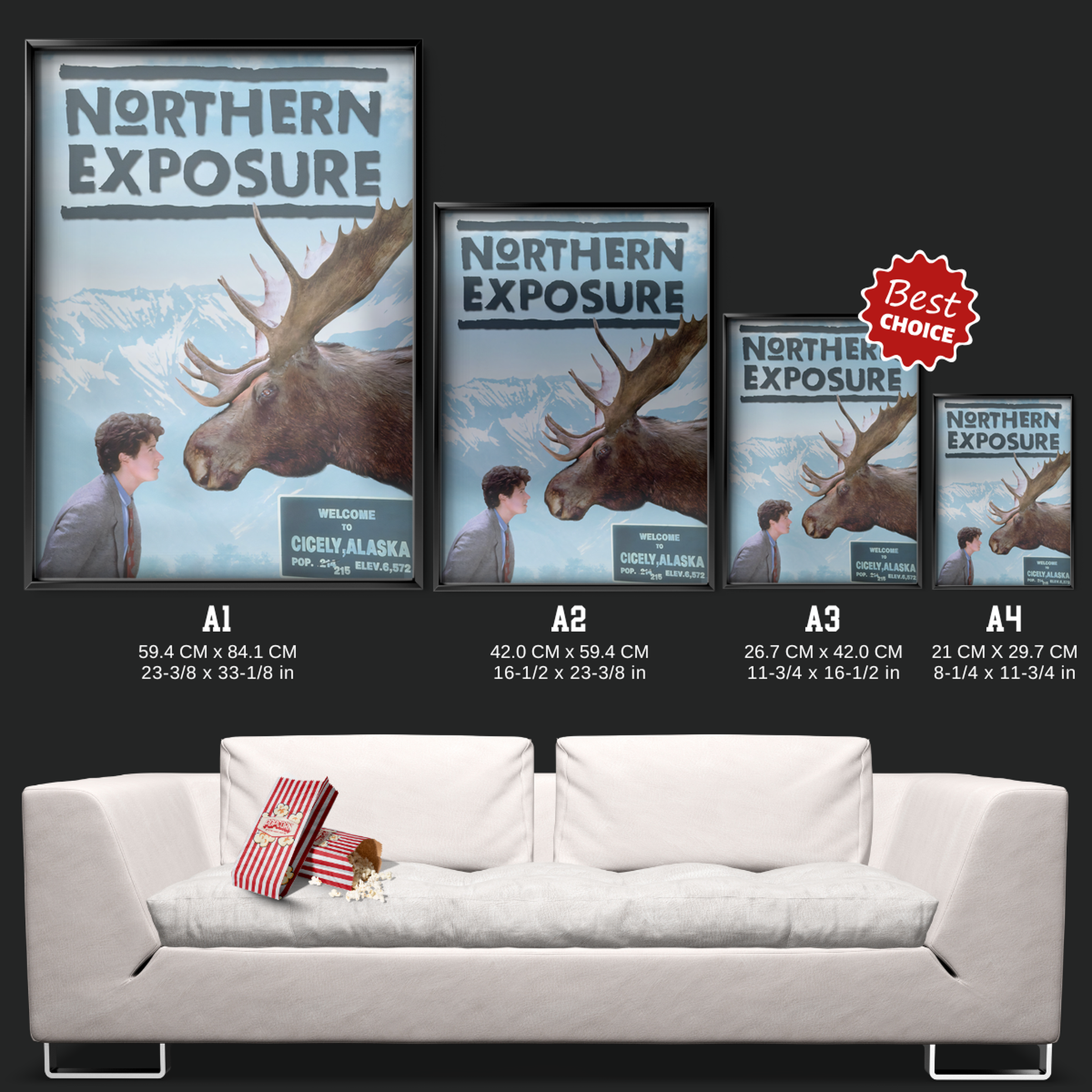 Northern Exposure (1990)