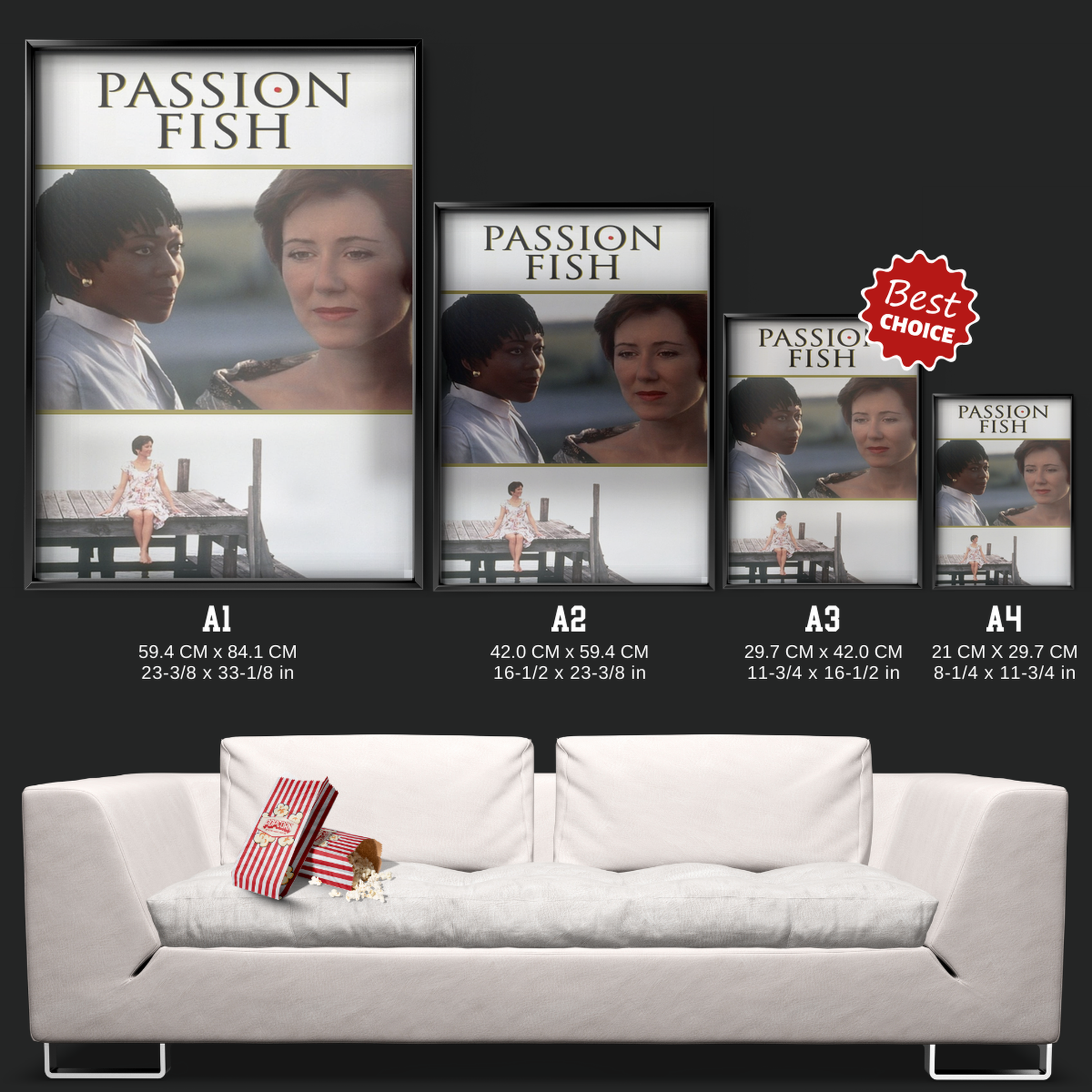 Passion Fish (1992)