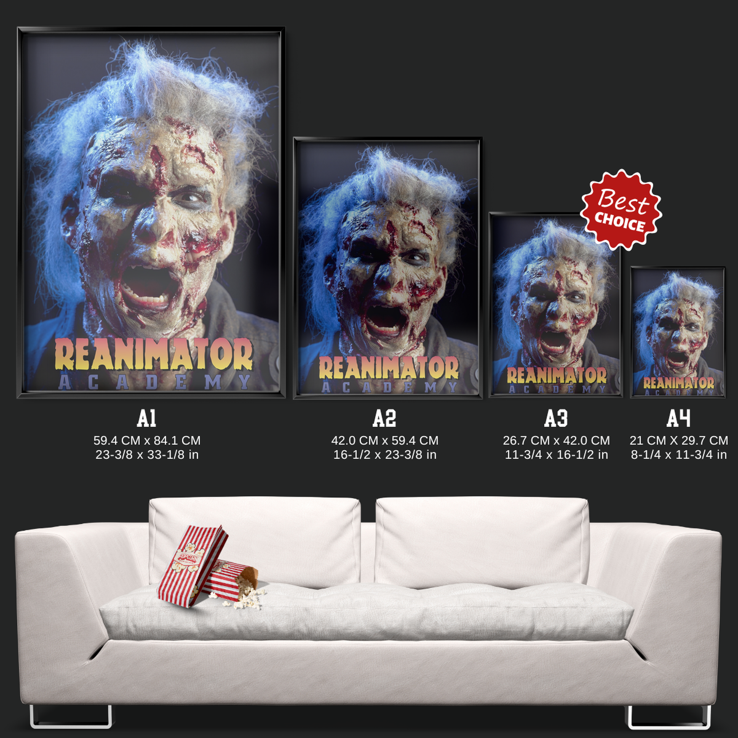 Reanimator Academy (1992)