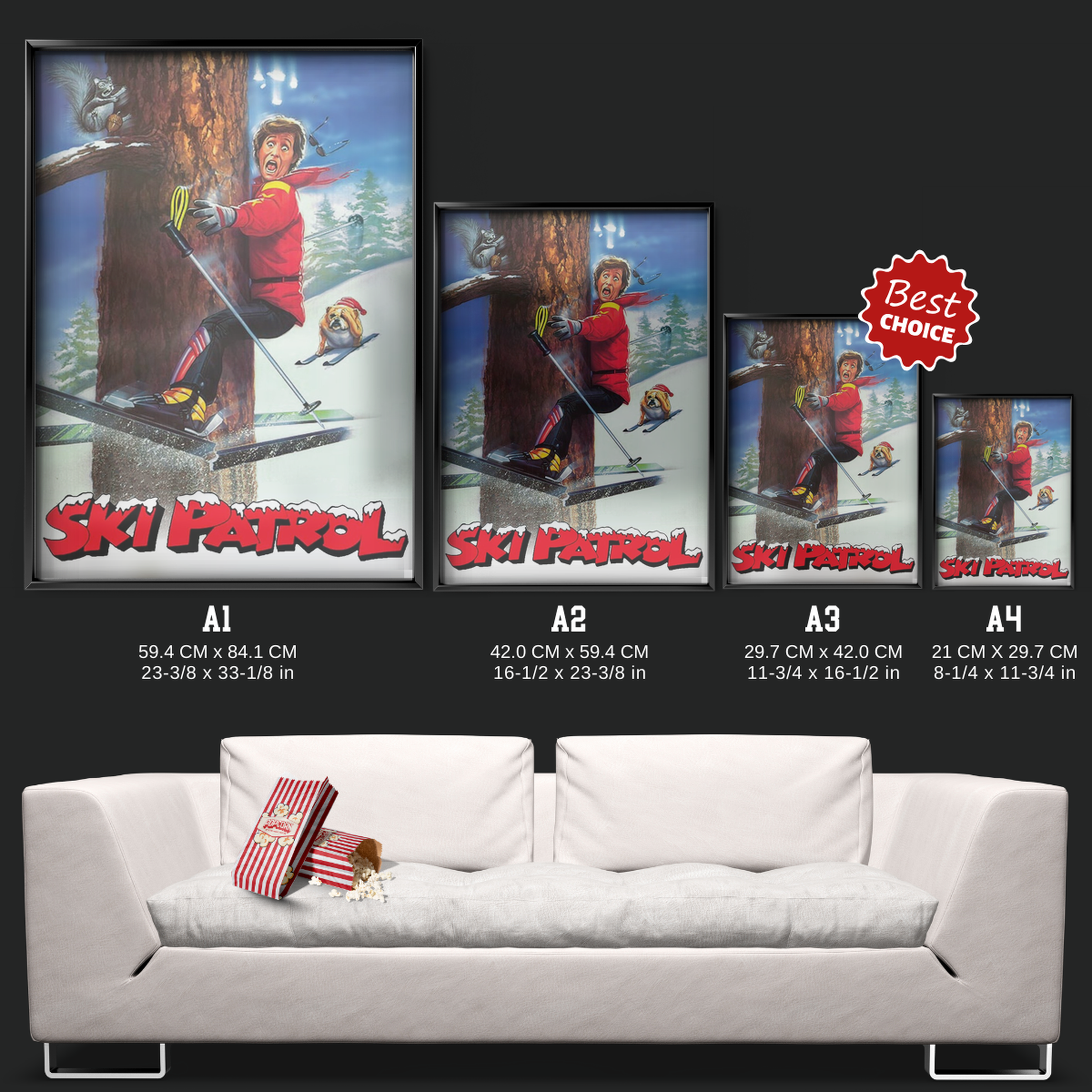 Ski Patrol (1990)