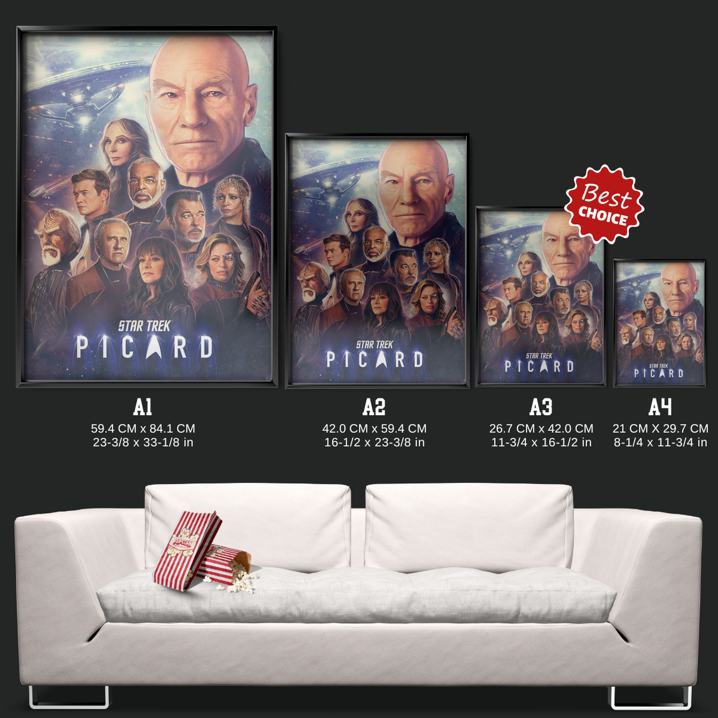 Star Trek Picard (2020)