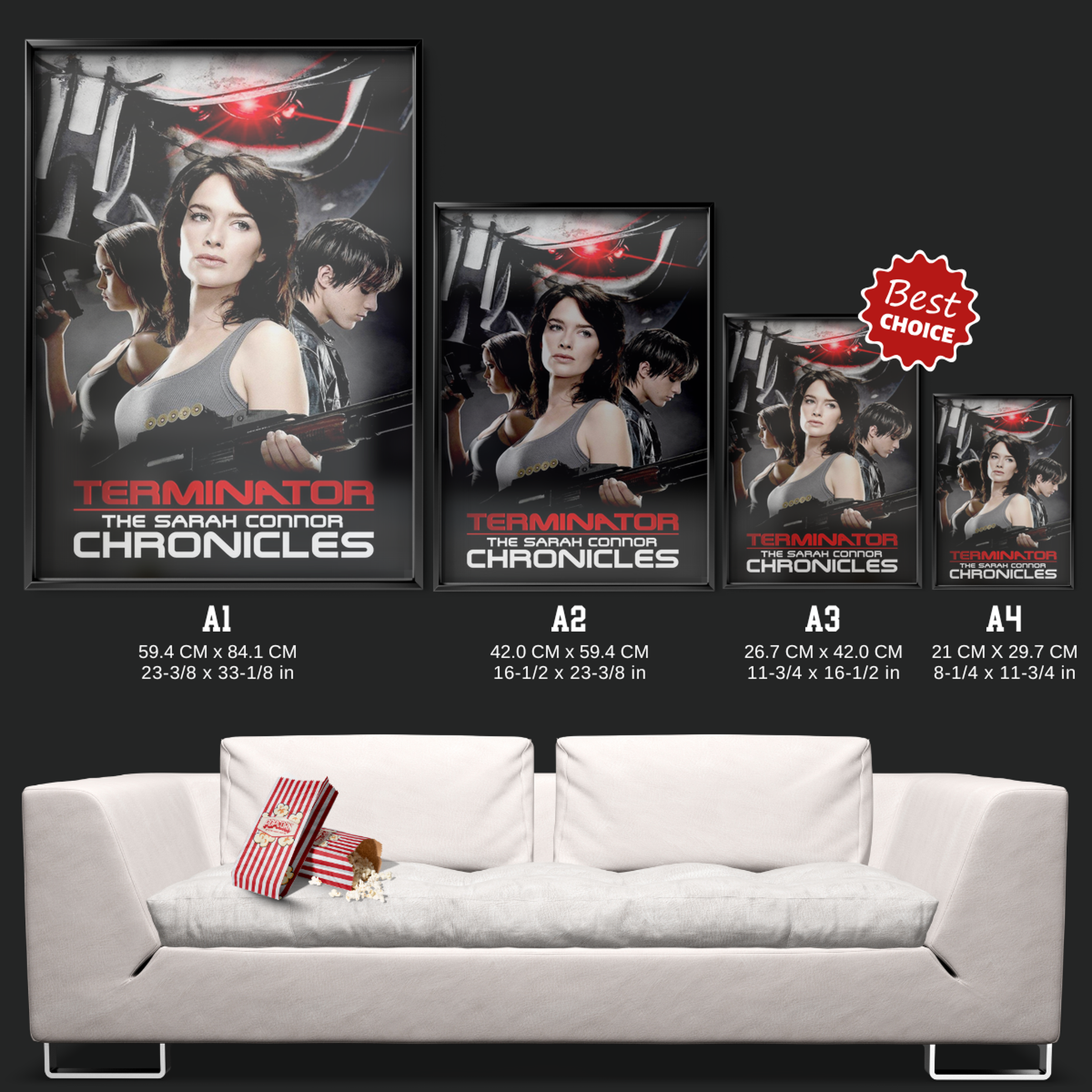 Terminator The Sarah Connor Chronicles (2008)