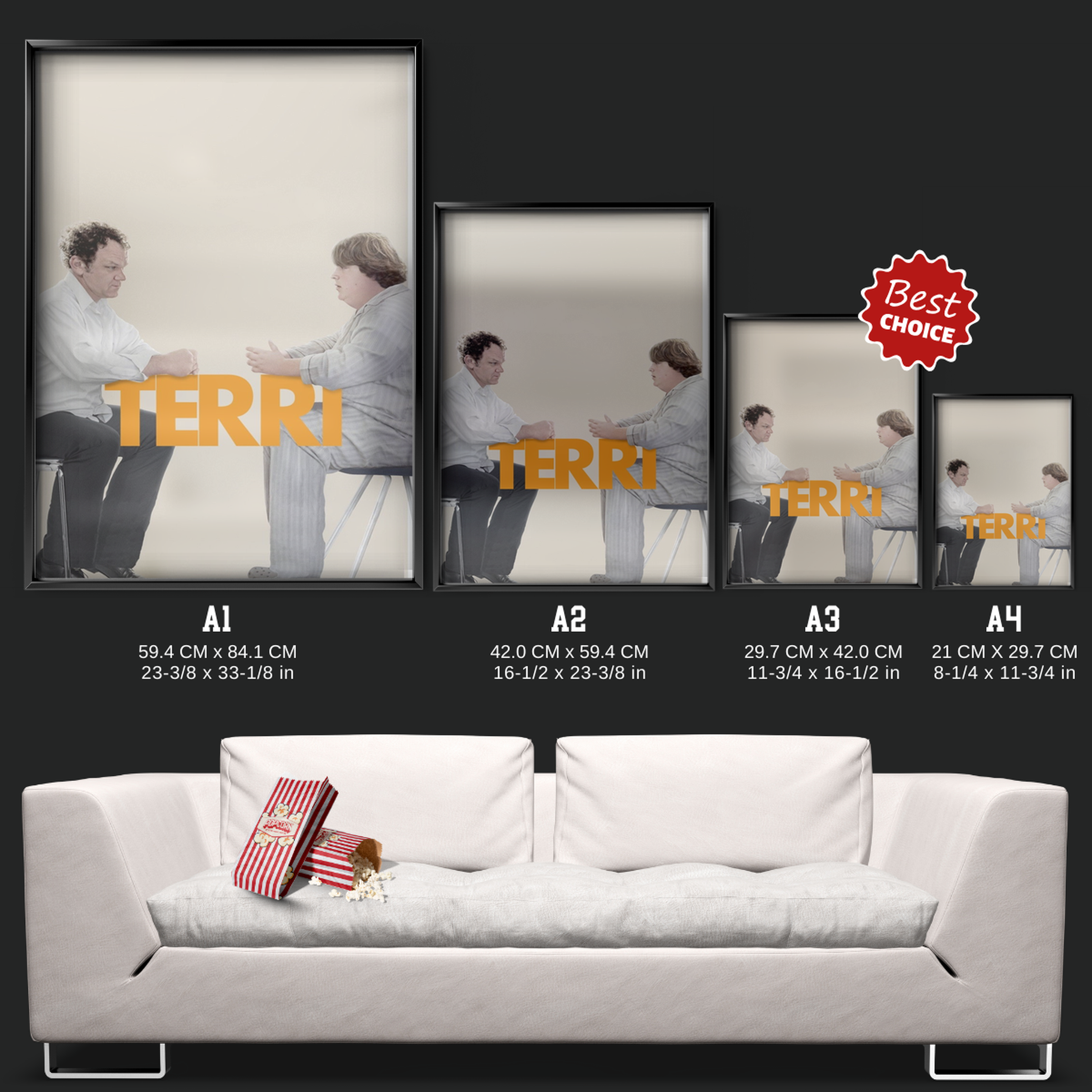 Terri (2011)