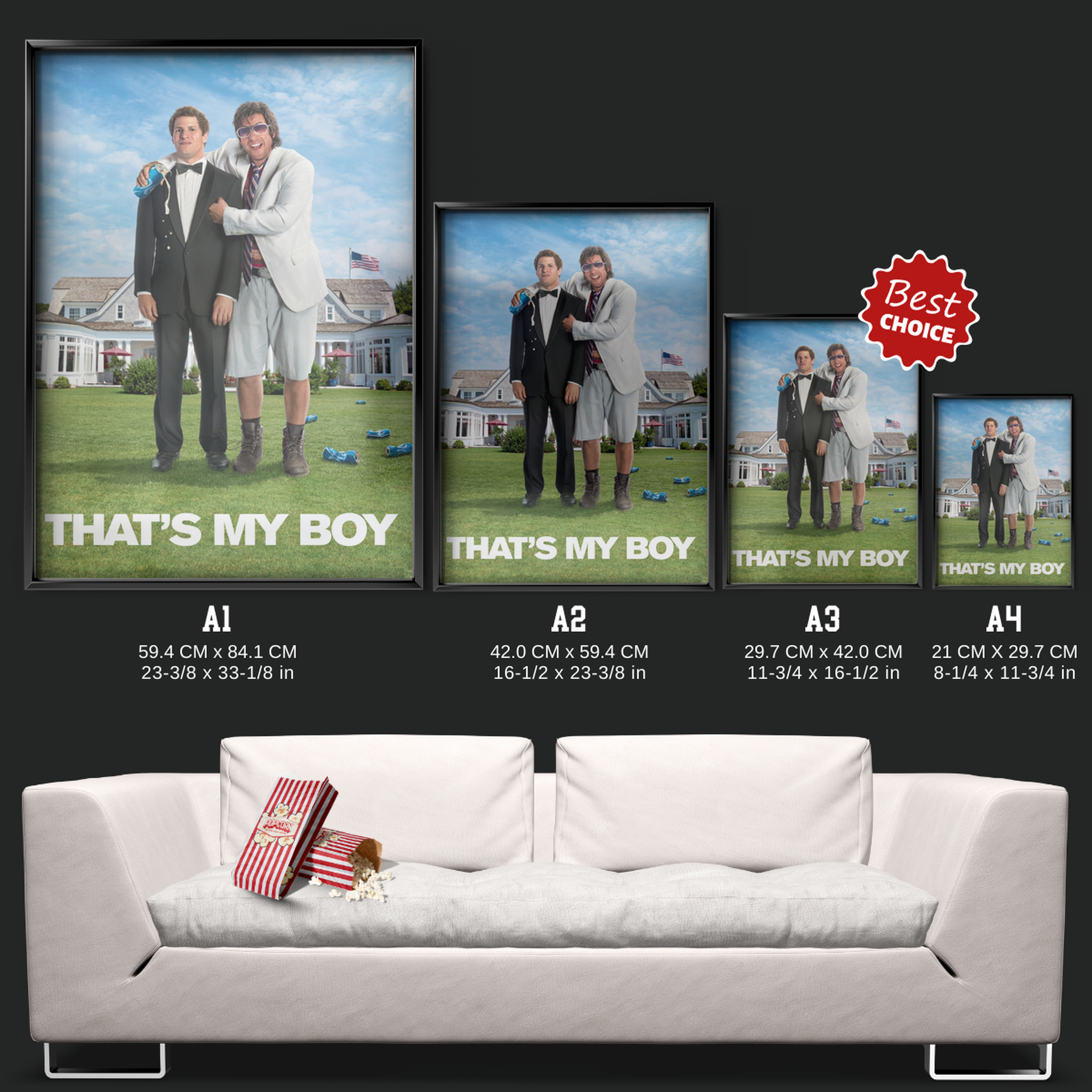 That's My Boy (2012)