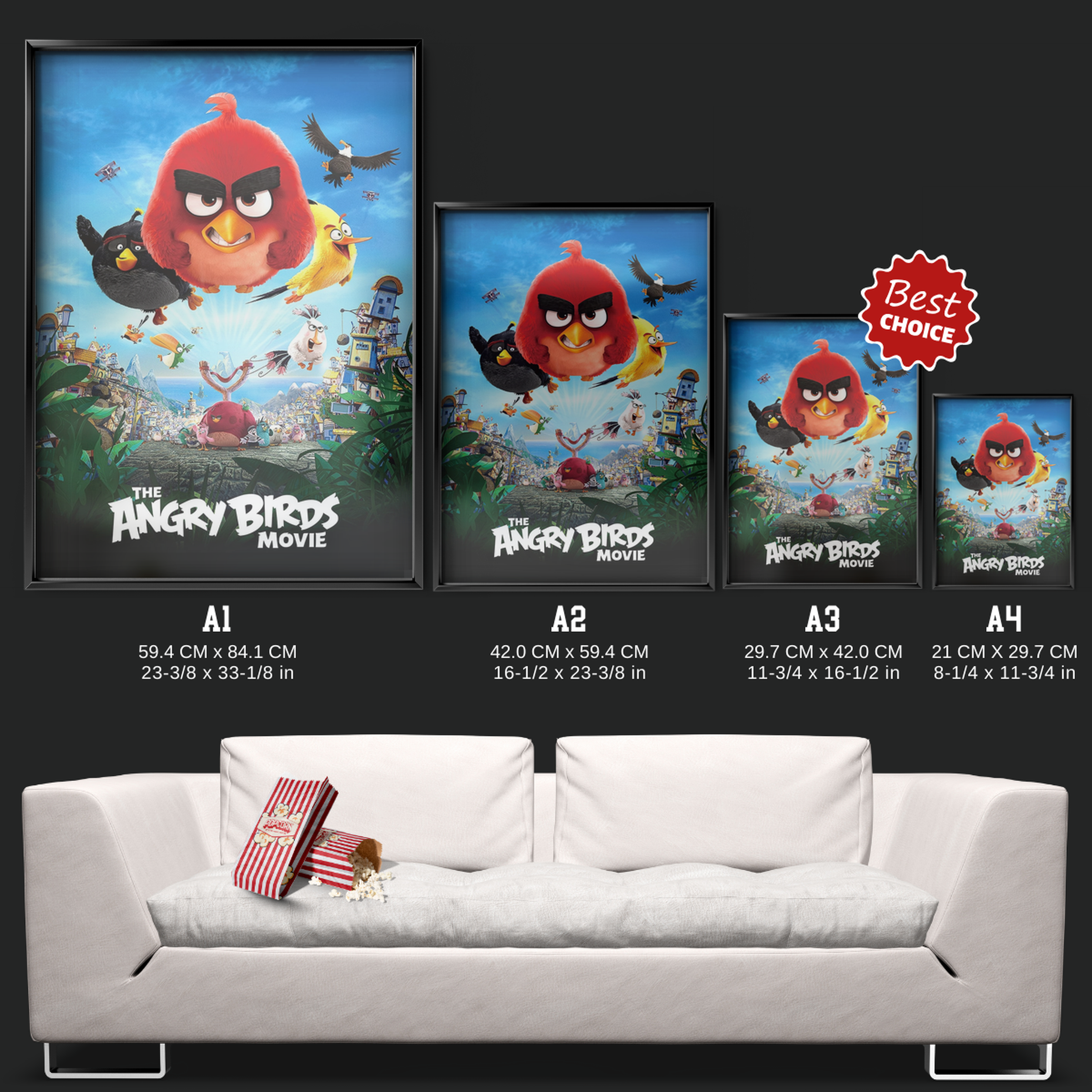 The Angry Birds Movie (2016)