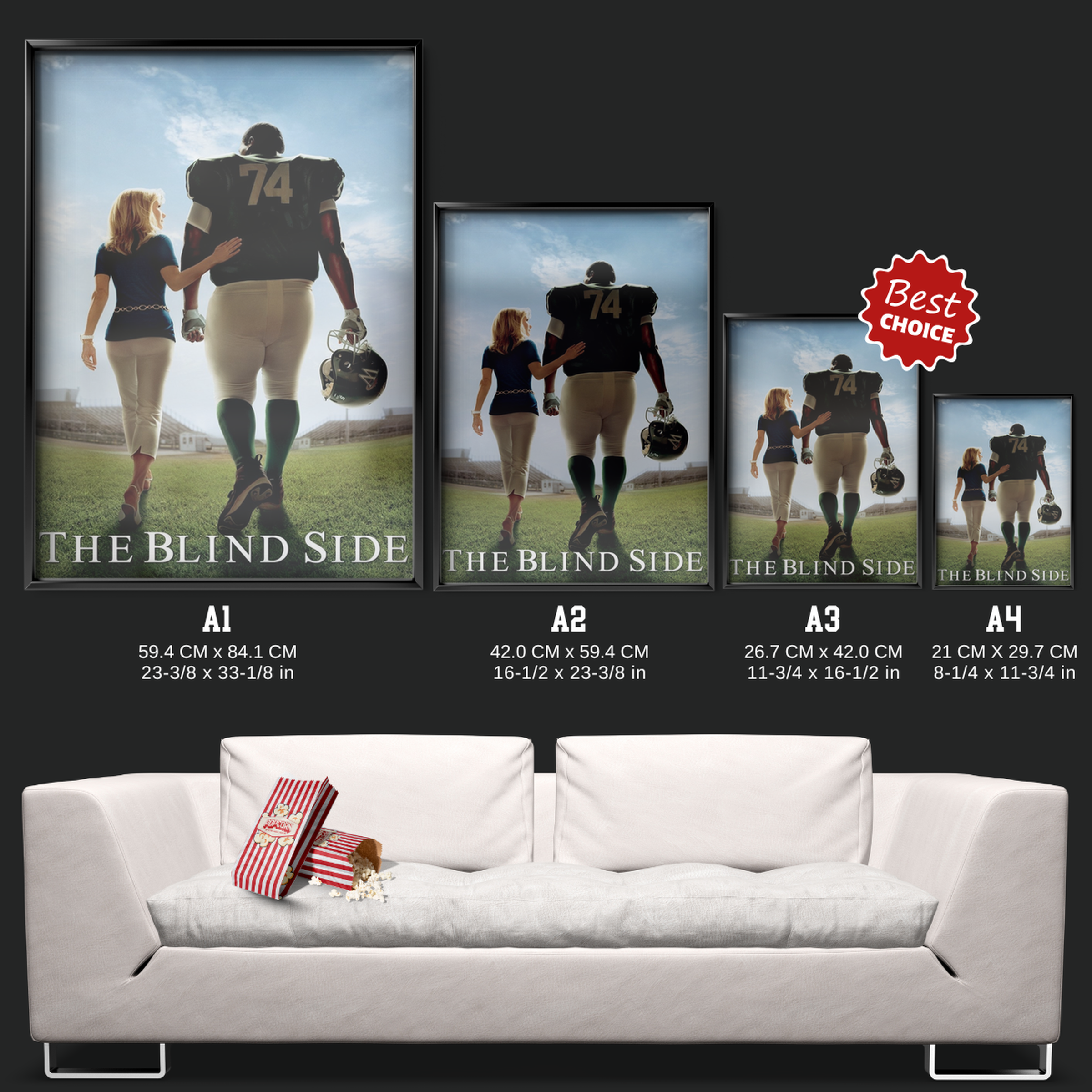 The Blind Side (2009)