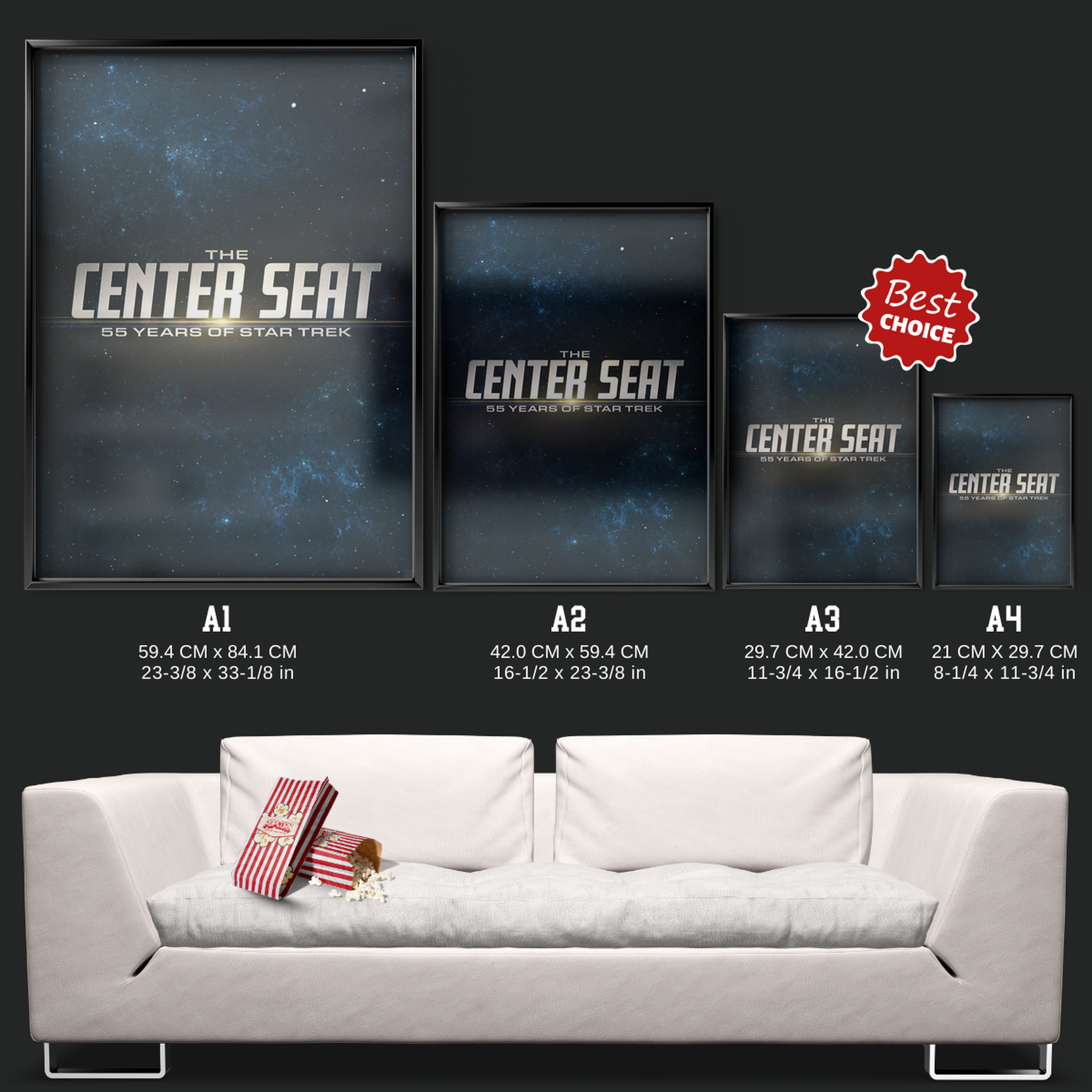 The Center Seat 55 Years Of Star Trek (2021)
