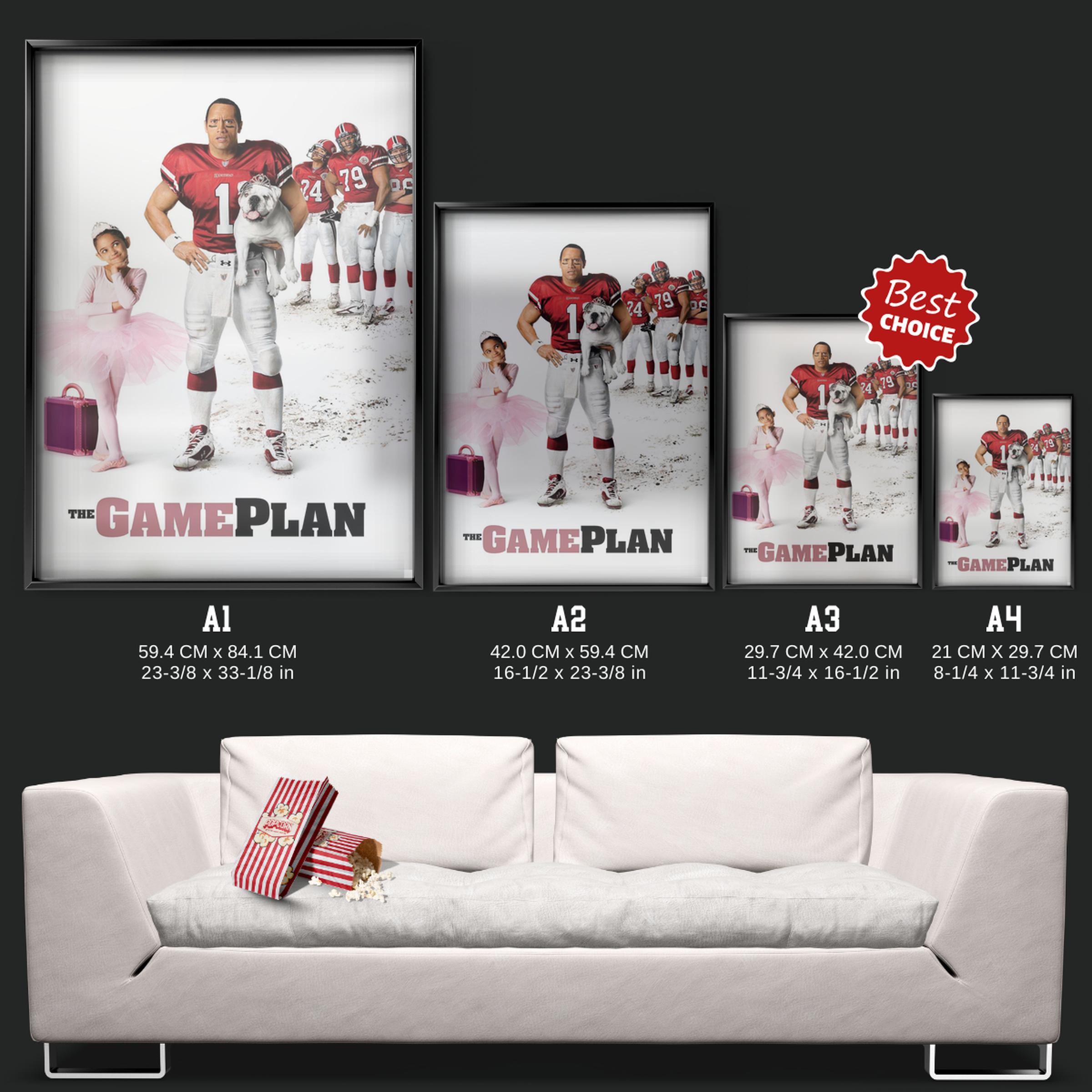 The Game Plan (2007)