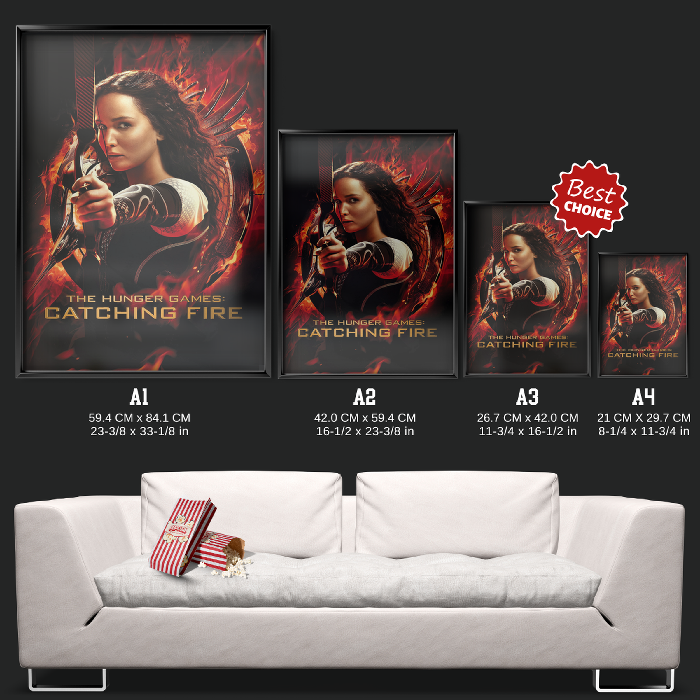 The Hunger Games Catching Fire (2013)