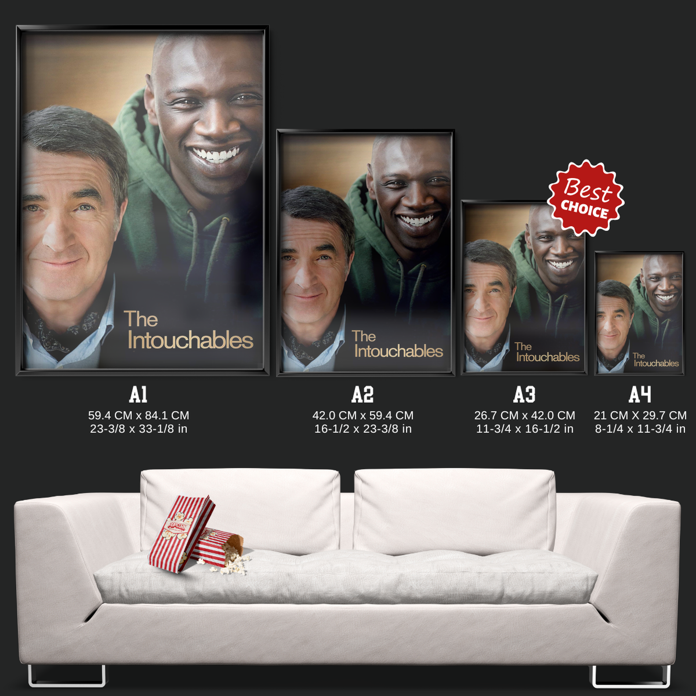 The Intouchables (2011)