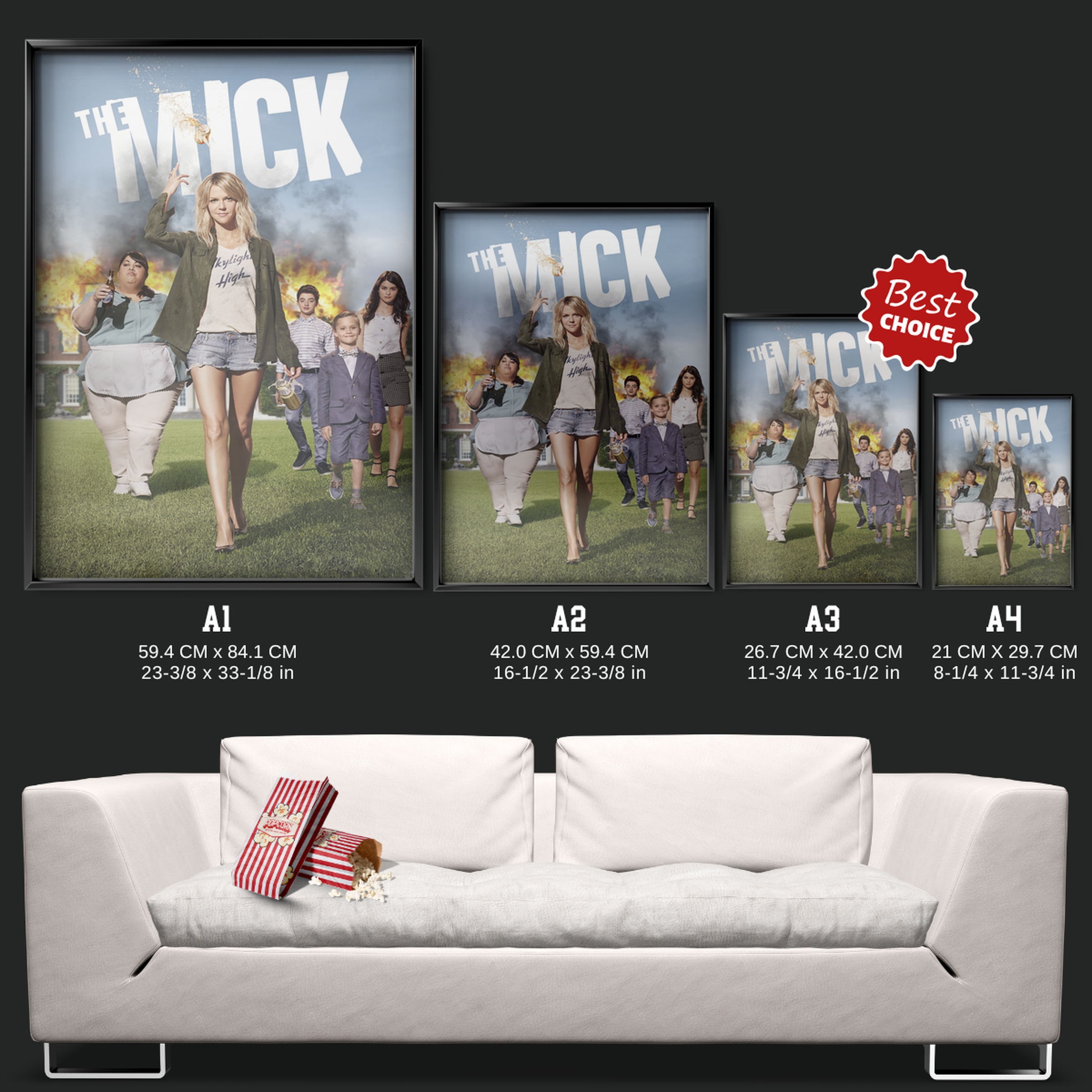 The Mick (2017)