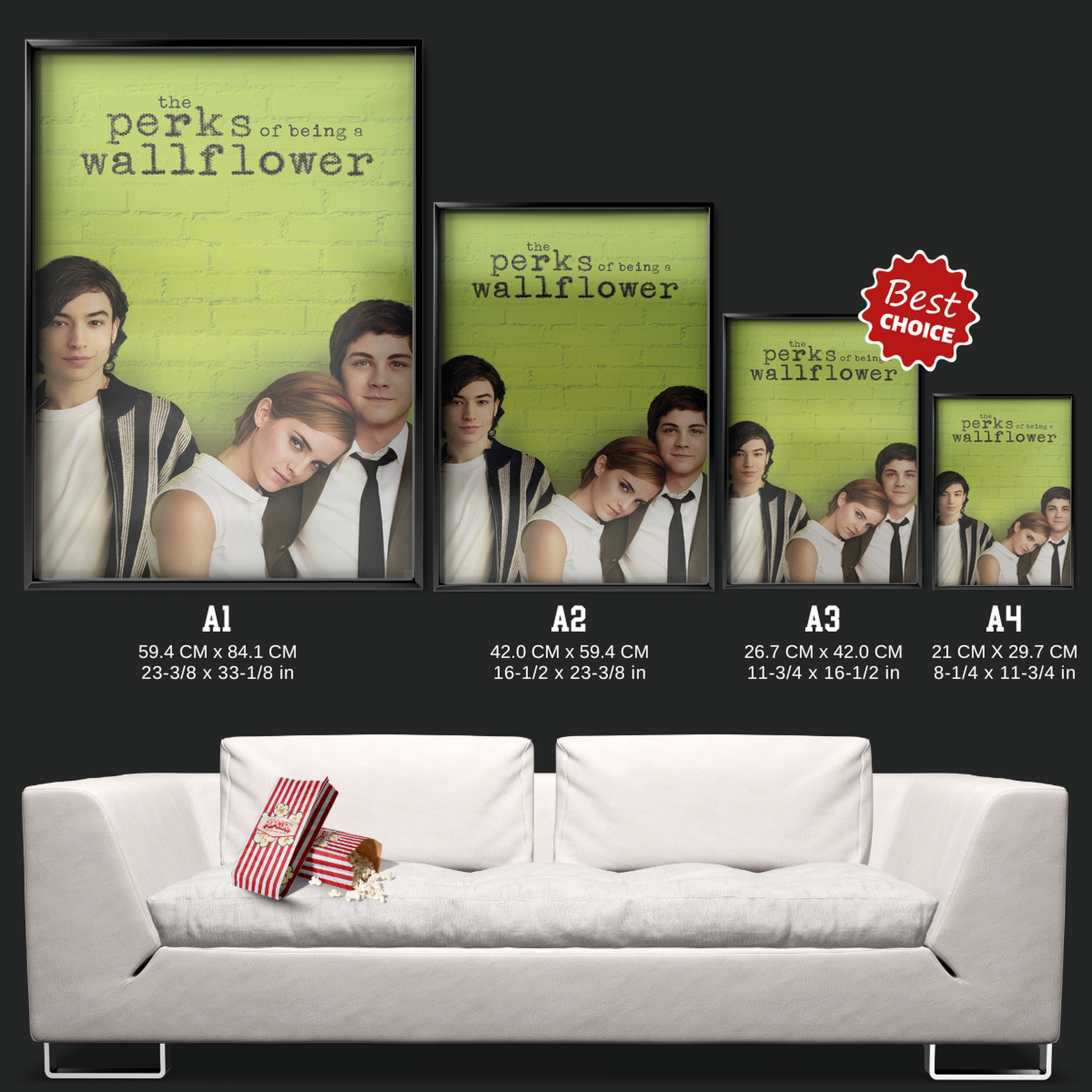 The Perks Of Being A Wallflower (2012)