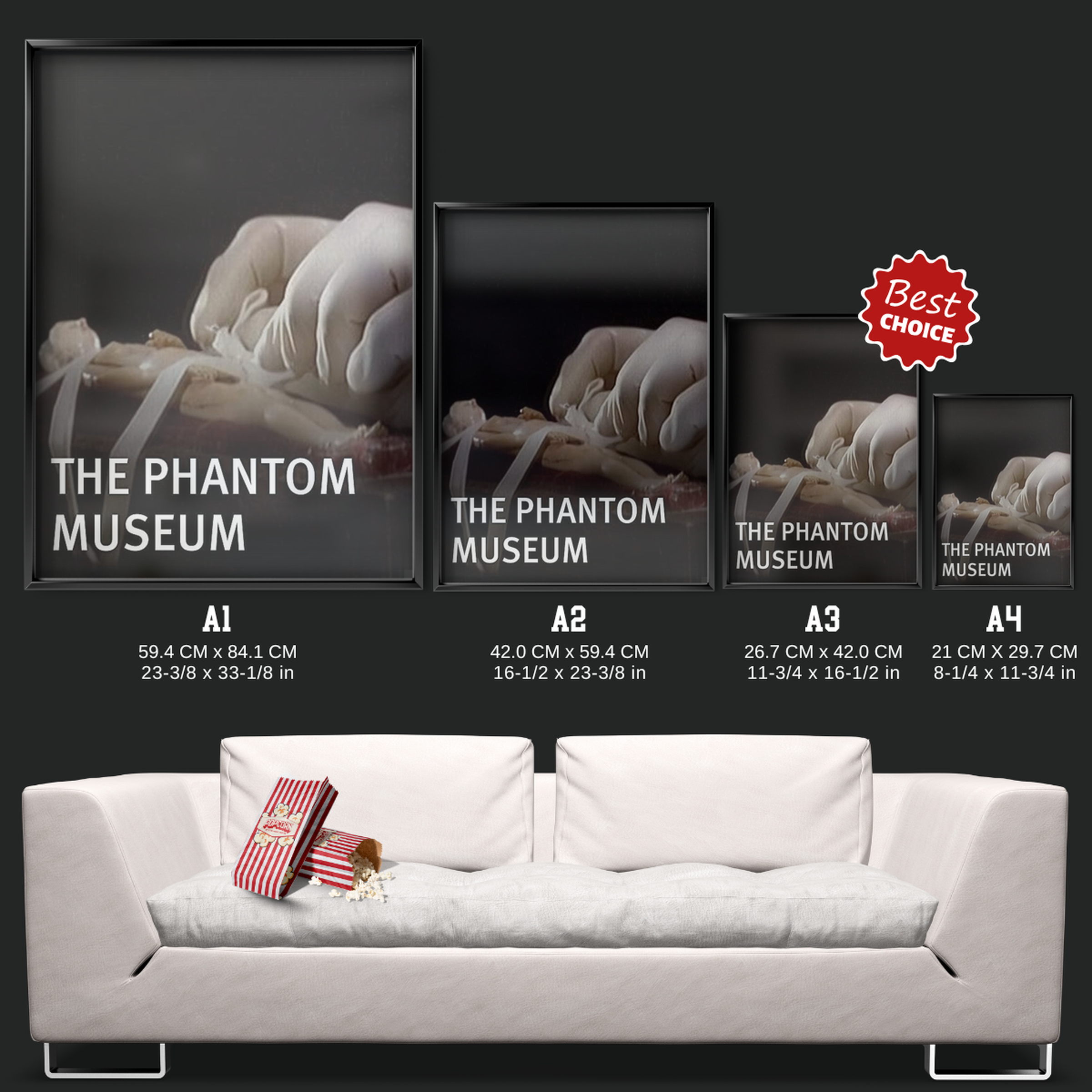 The Phantom Museum Random Forays Into The Vaults Of Sir Henry Wellcome's Medical Collection (2003)