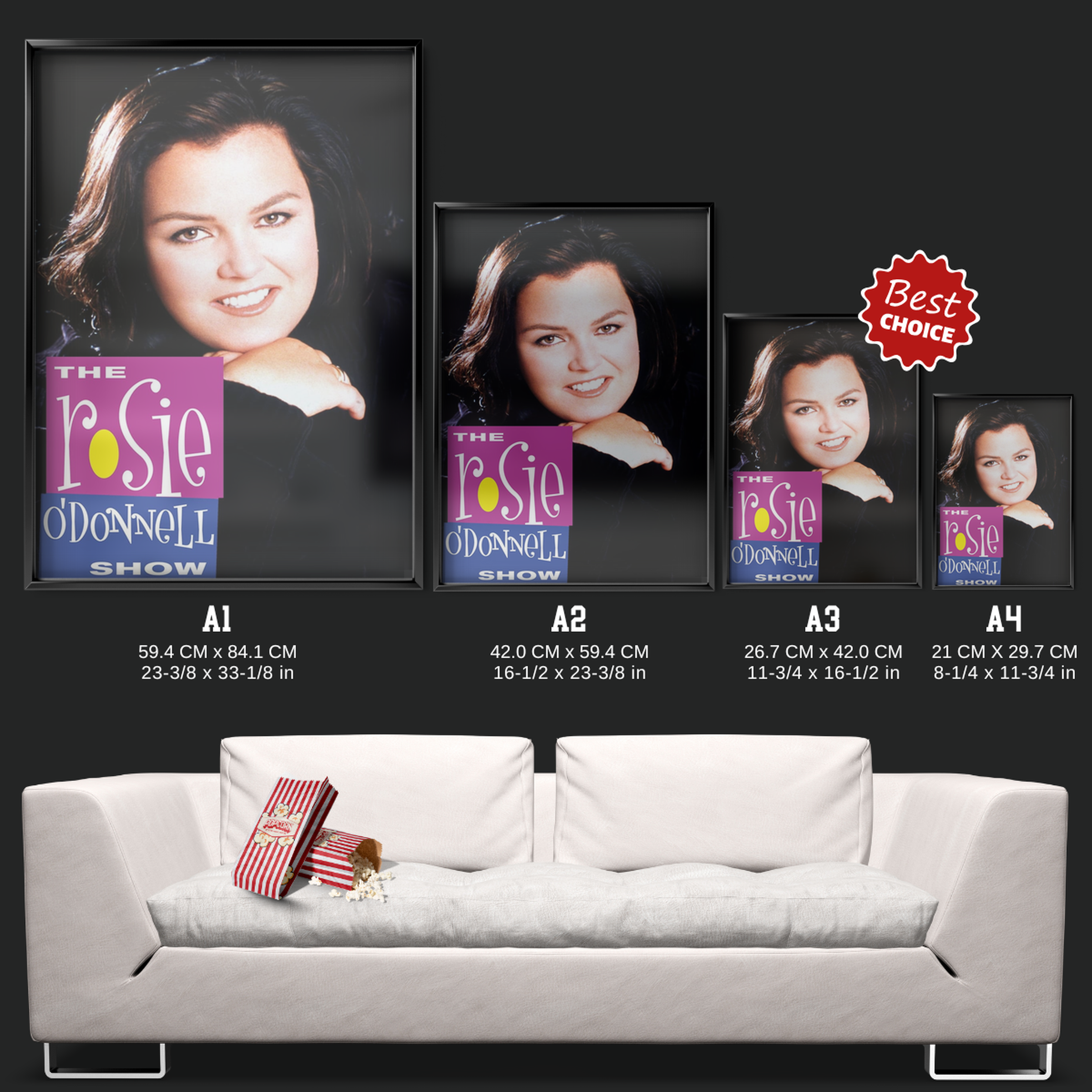 The Rosie O'donnell Show (1996)