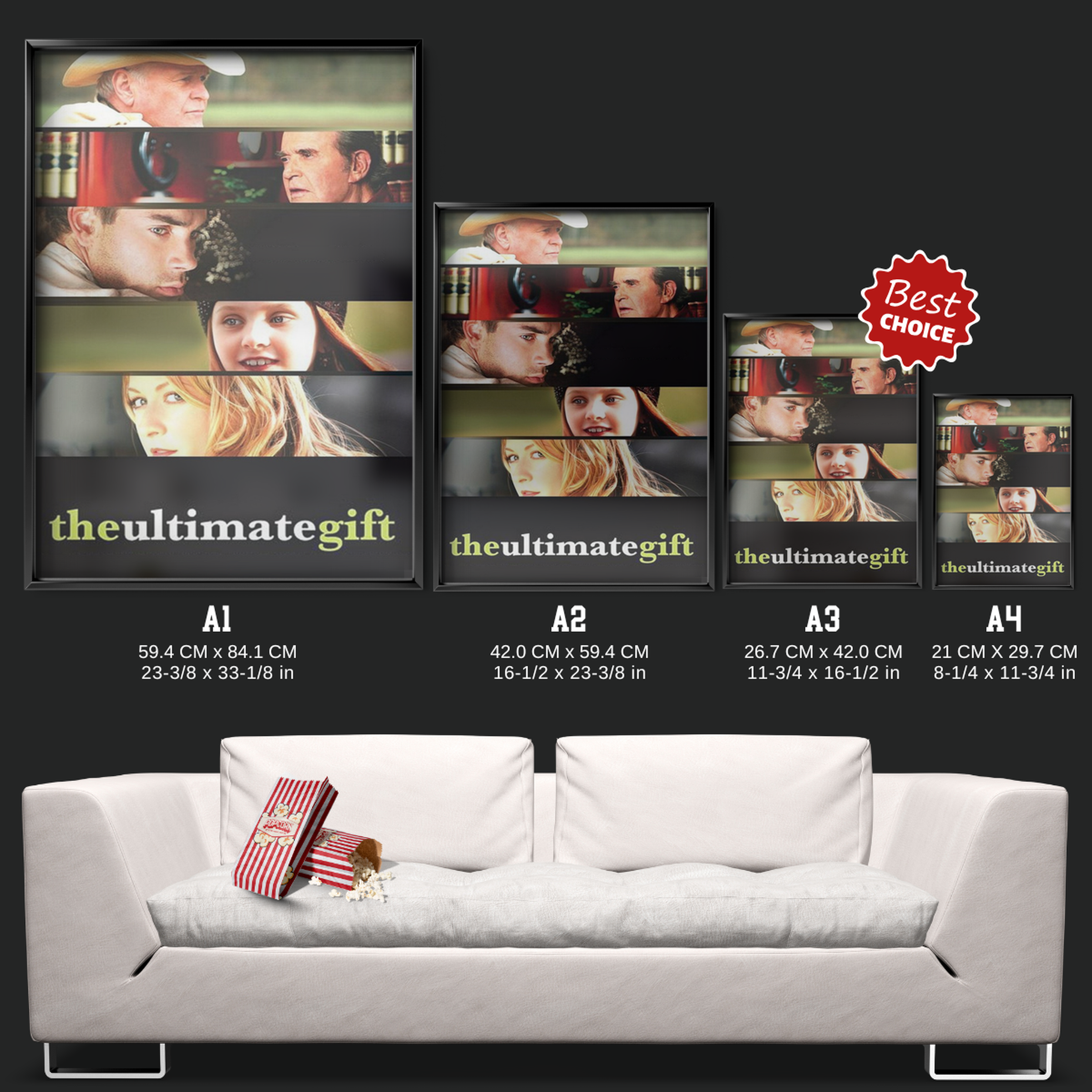 The Ultimate Gift (2007)