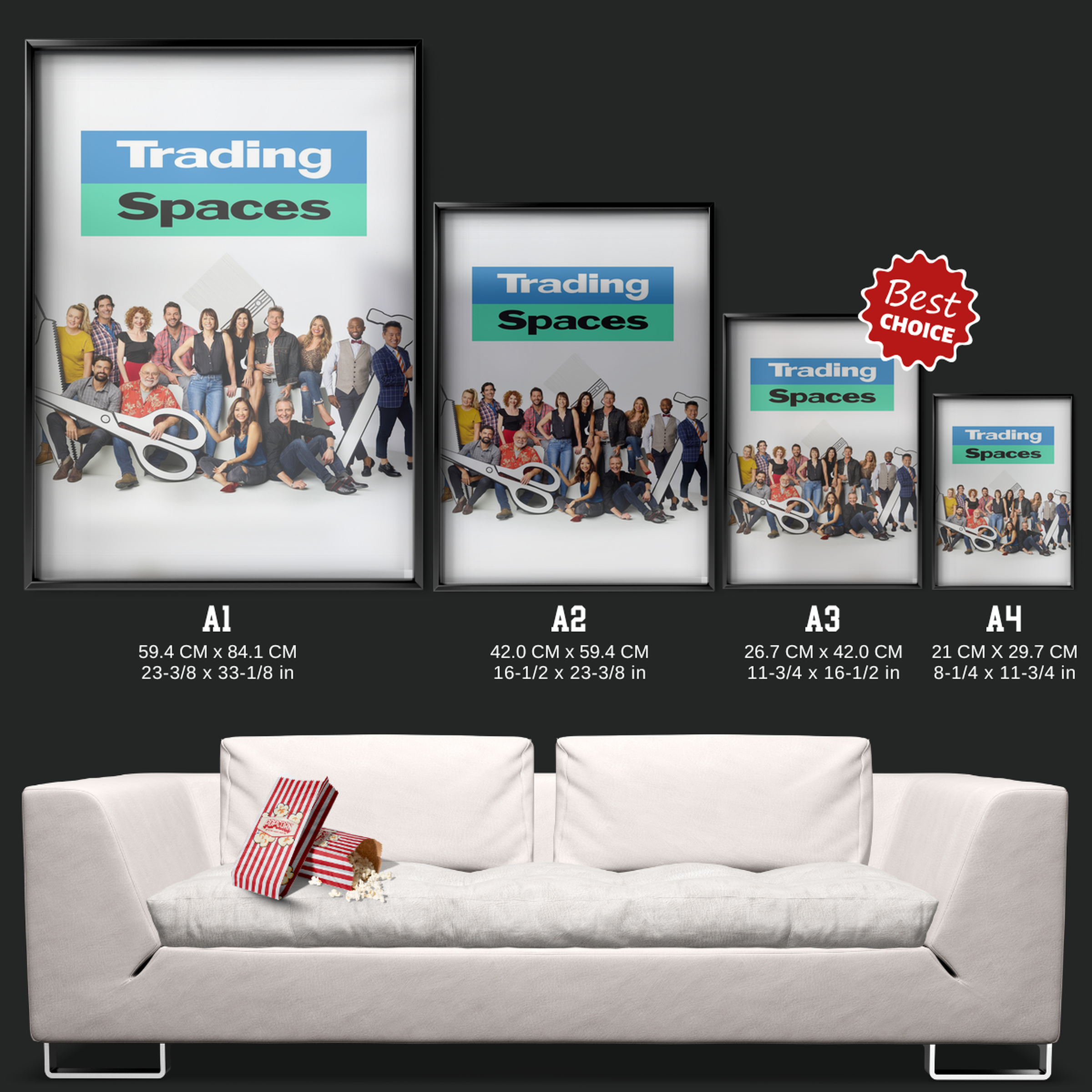 Trading Spaces (2000)