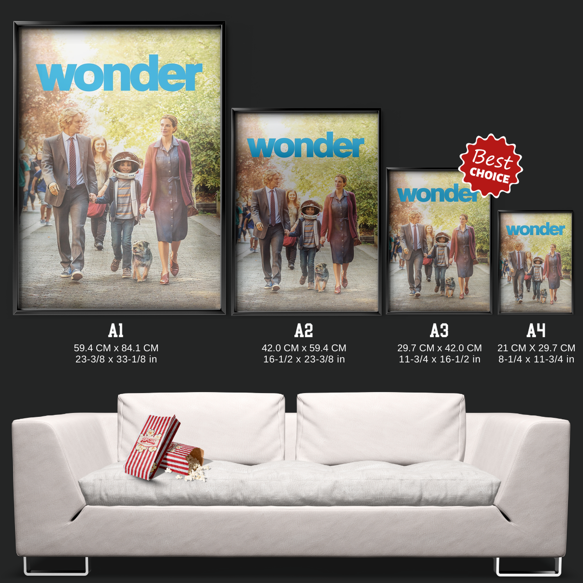 Wonder (2017)