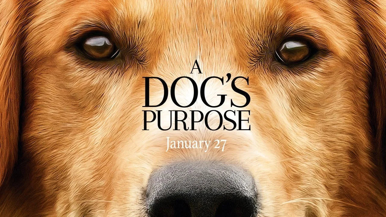 High quality A Dog's Purpose (2017) prints online - Popcorn Poster Official
