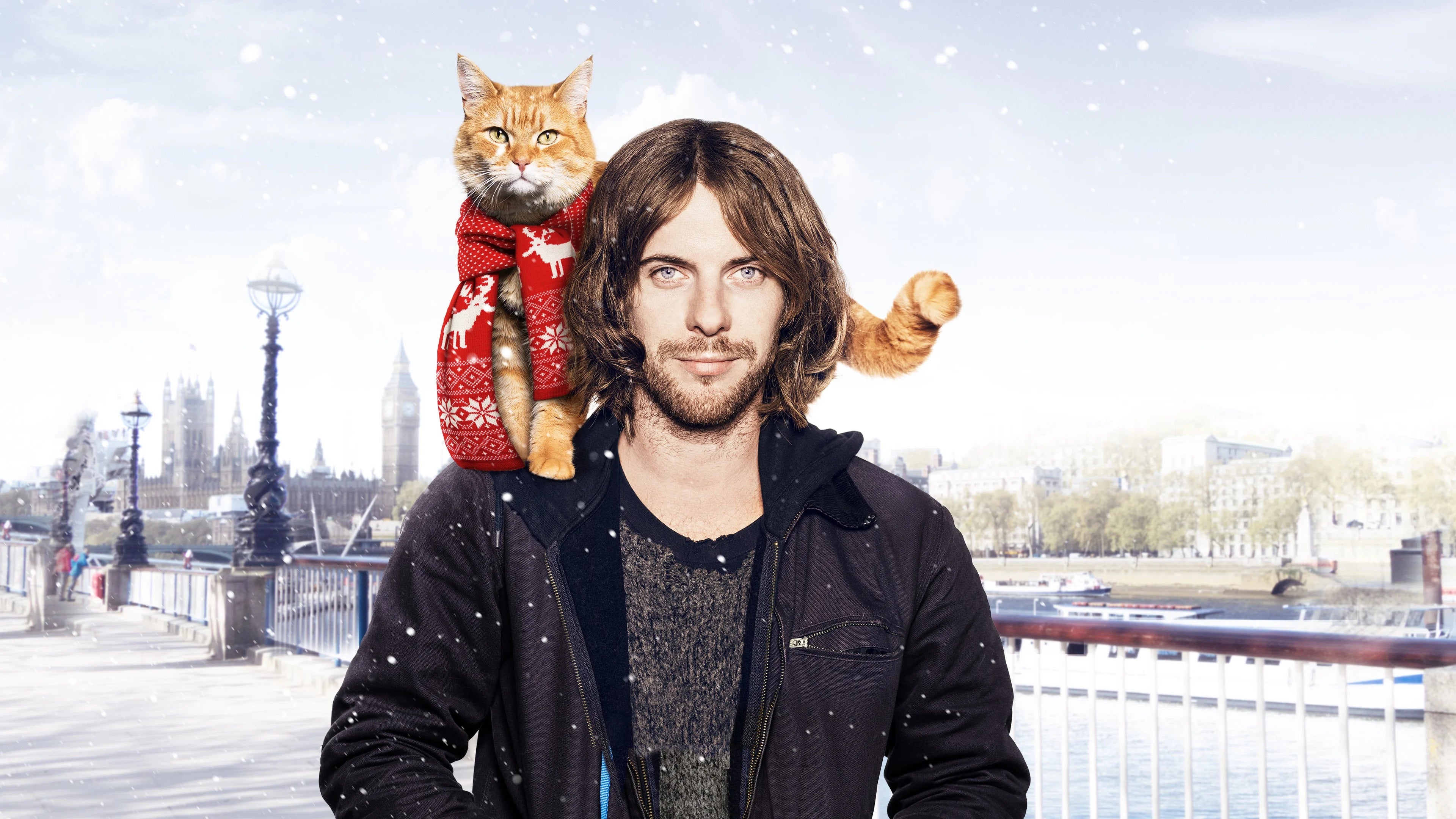 High quality A Street Cat Named Bob (2016) prints online - Popcorn Poster Official