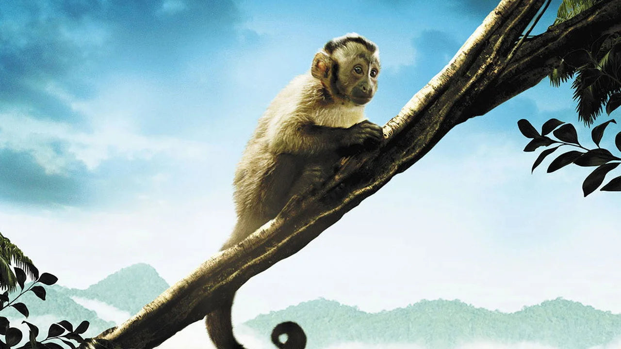 High quality Amazonia (2013) prints online - Popcorn Poster Official