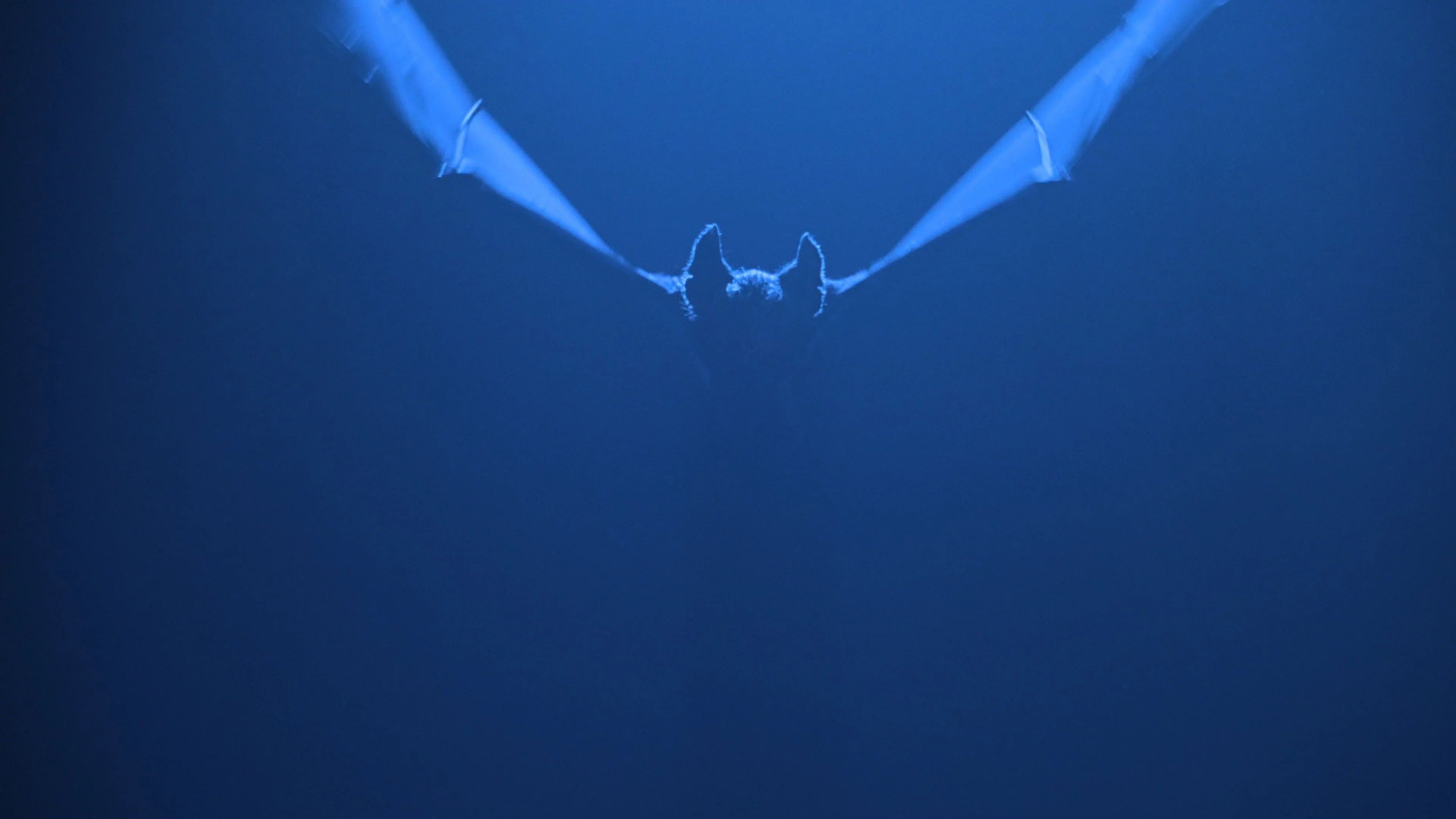 High quality Batman Forever (1995) prints online - Popcorn Poster Official