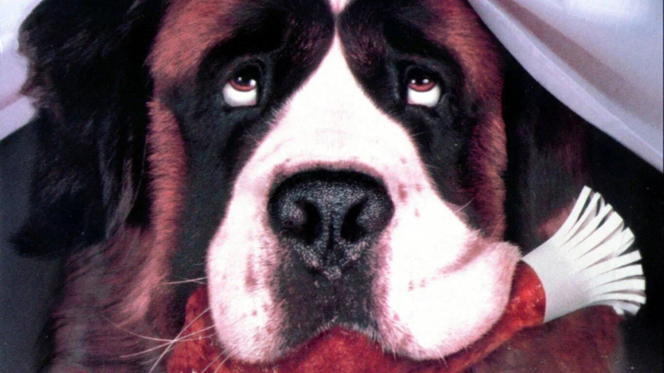 High quality Beethoven (1992) prints online - Popcorn Poster Official