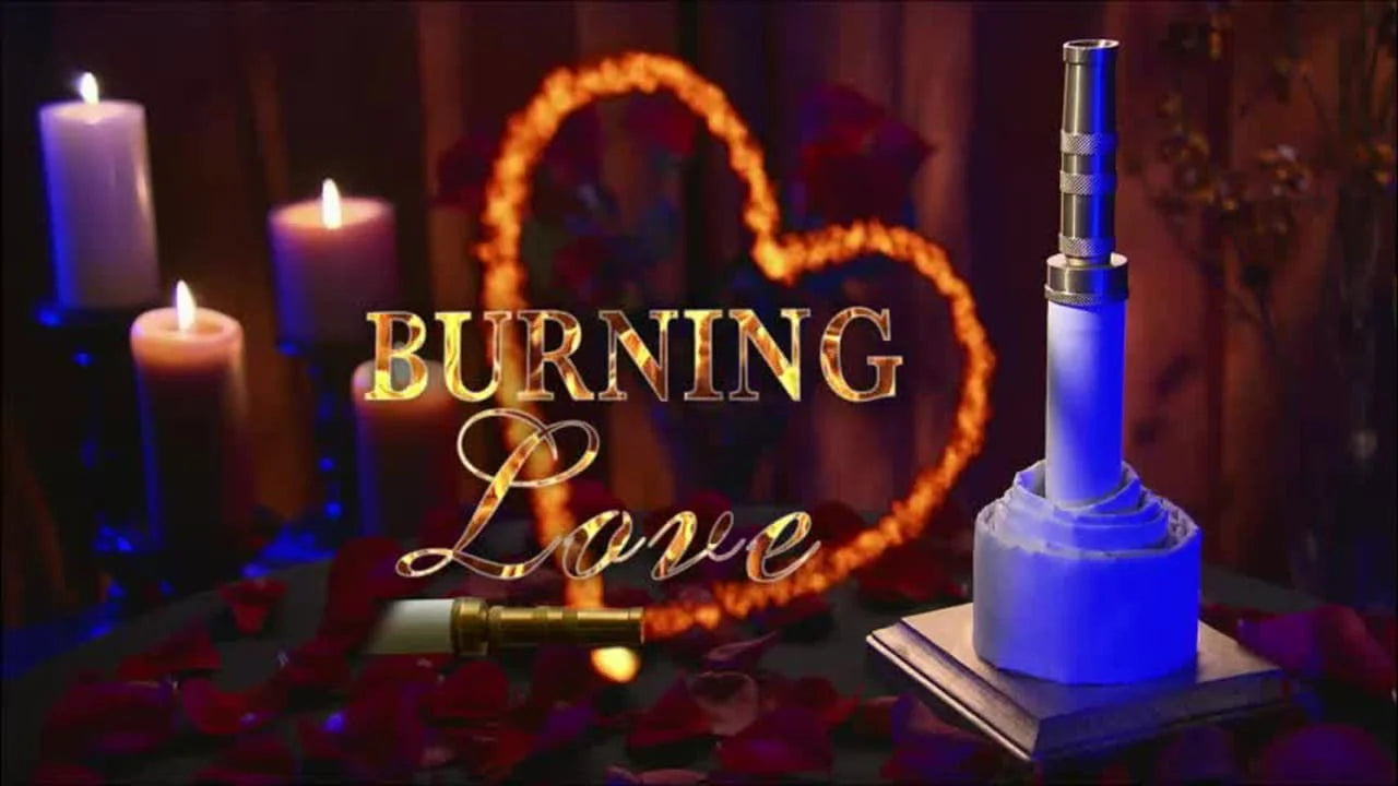 High quality Burning Love (2012) prints online - Popcorn Poster Official