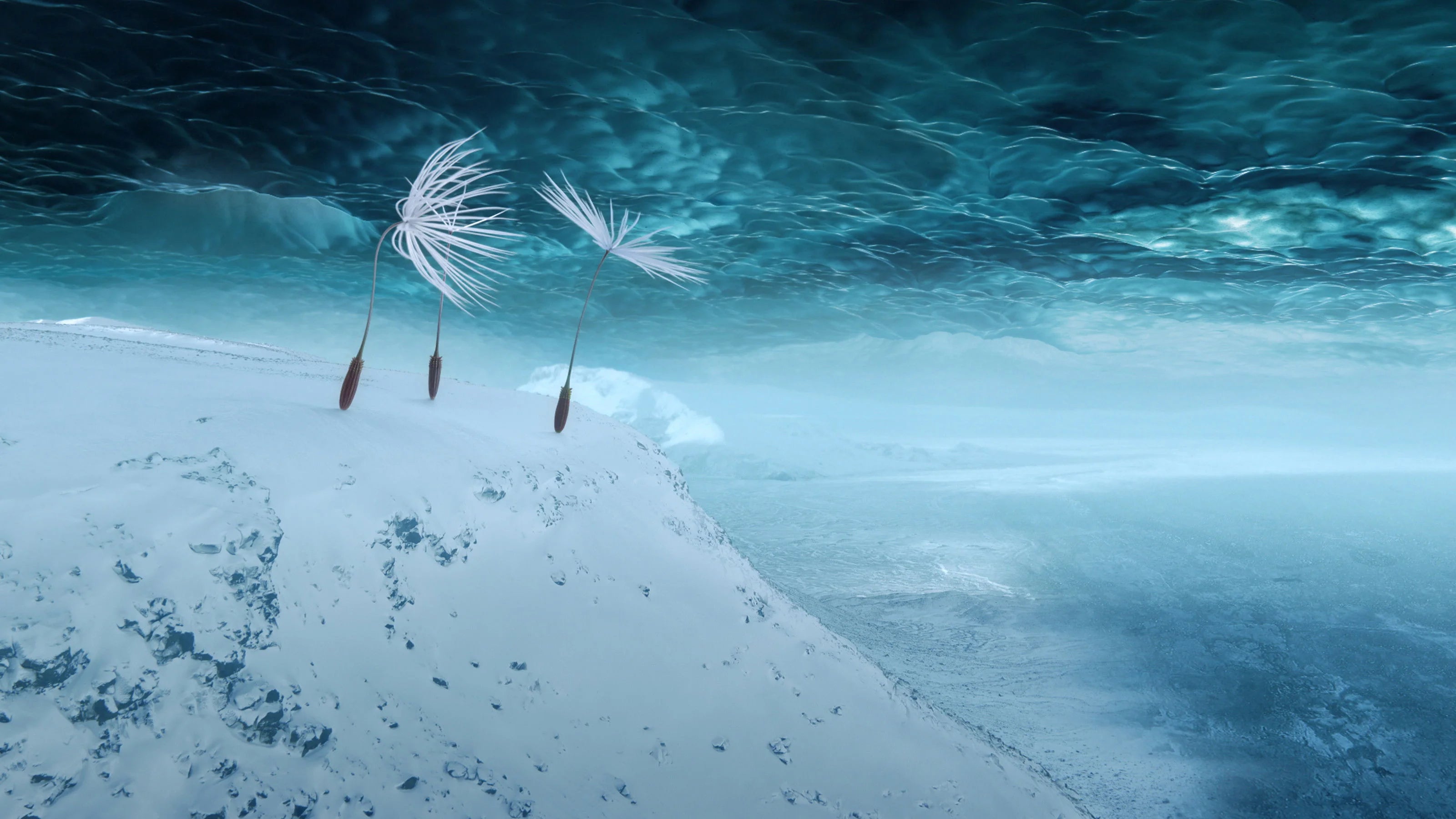 High quality Dandelion's Odyssey (2026) prints online - Popcorn Poster Official