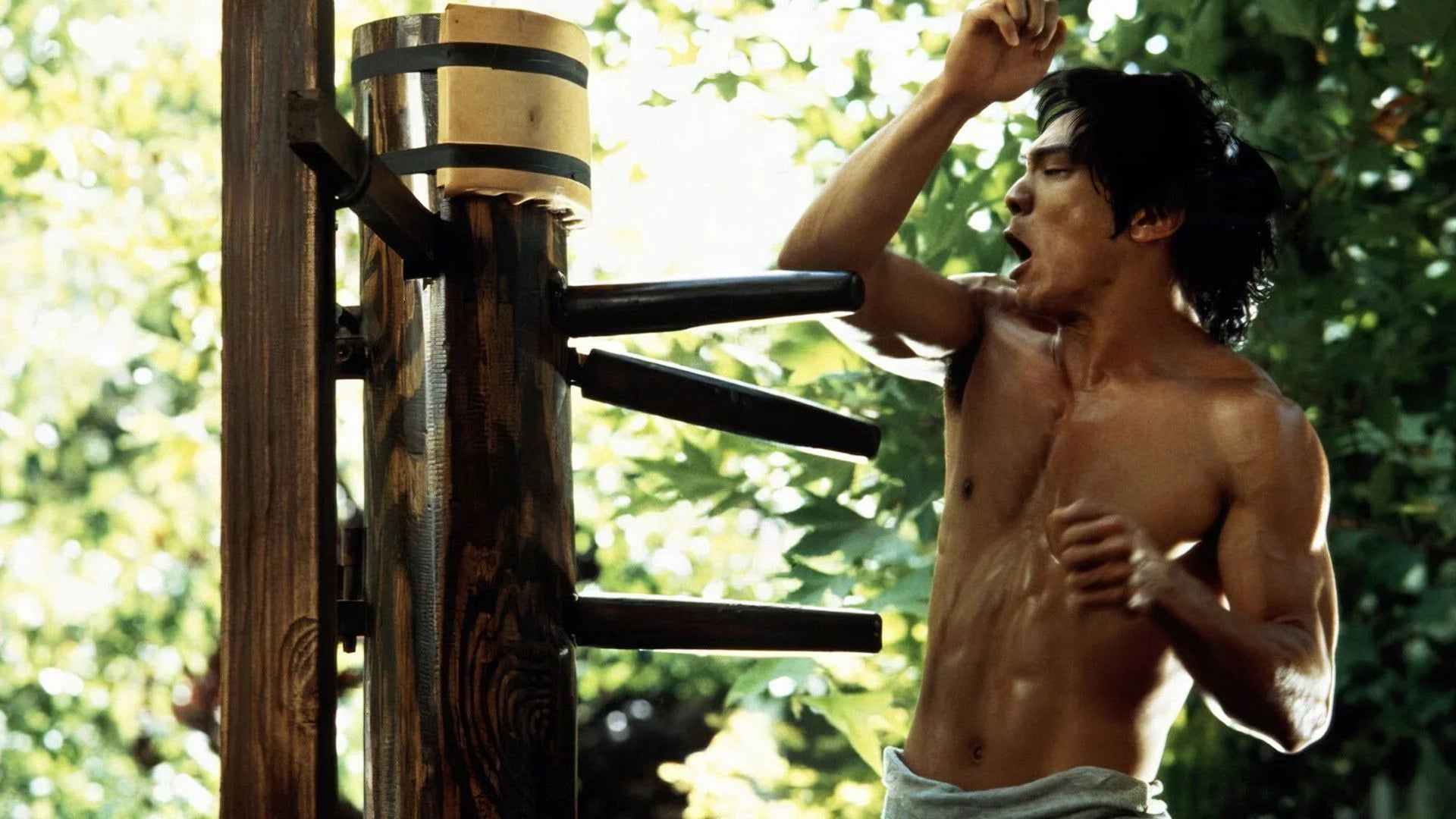 High quality Dragon The Bruce Lee Story (1993) prints online - Popcorn Poster Official