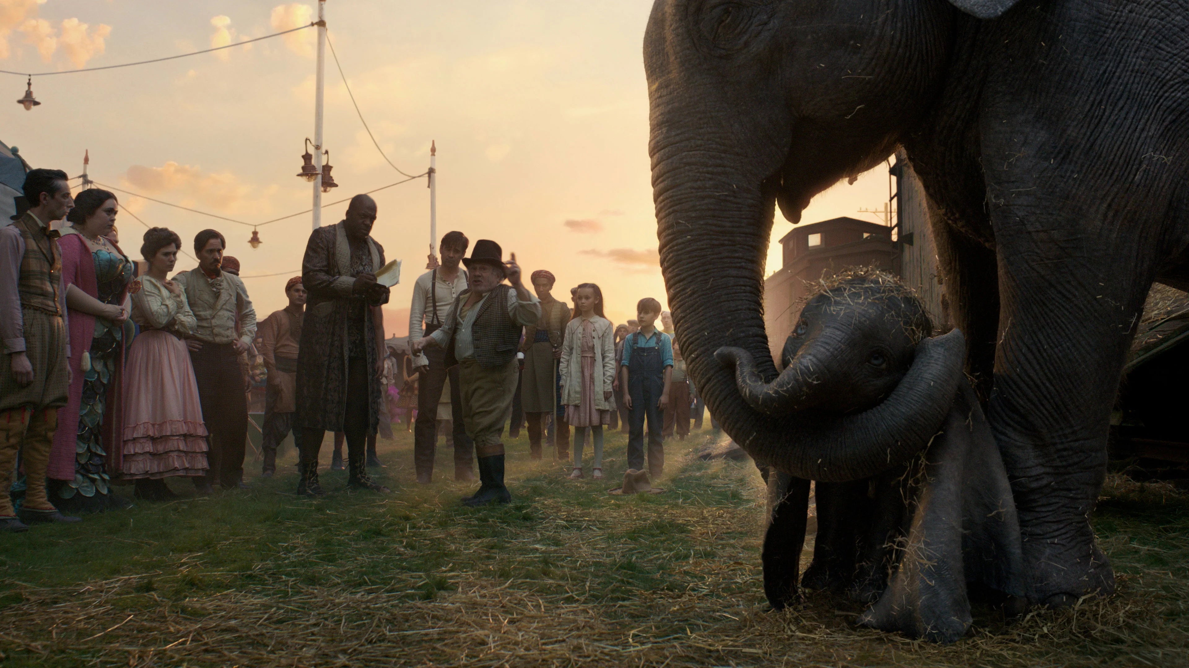 High quality Dumbo (2019) prints online - Popcorn Poster Official