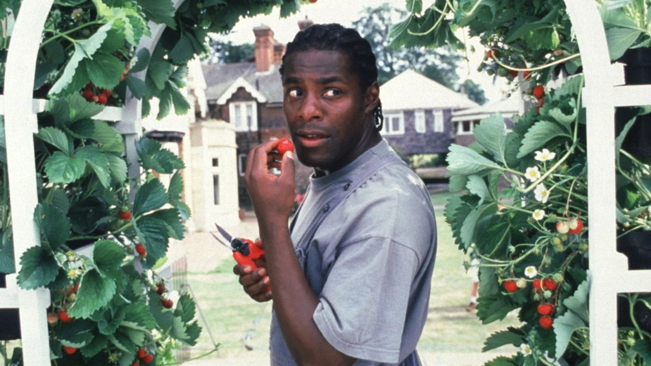 High quality Greenfingers (2001) prints online - Popcorn Poster Official