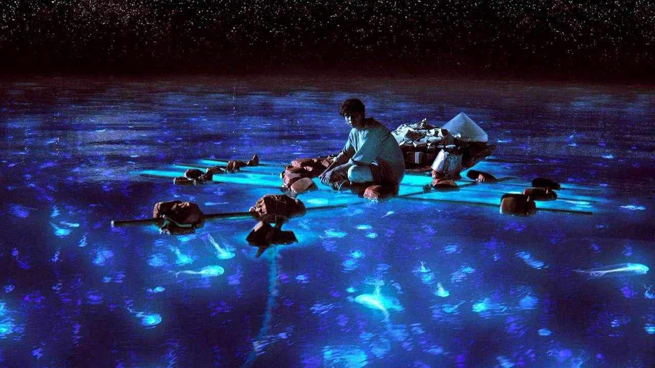 High quality Life of Pi (2012) prints online - Popcorn Poster Official