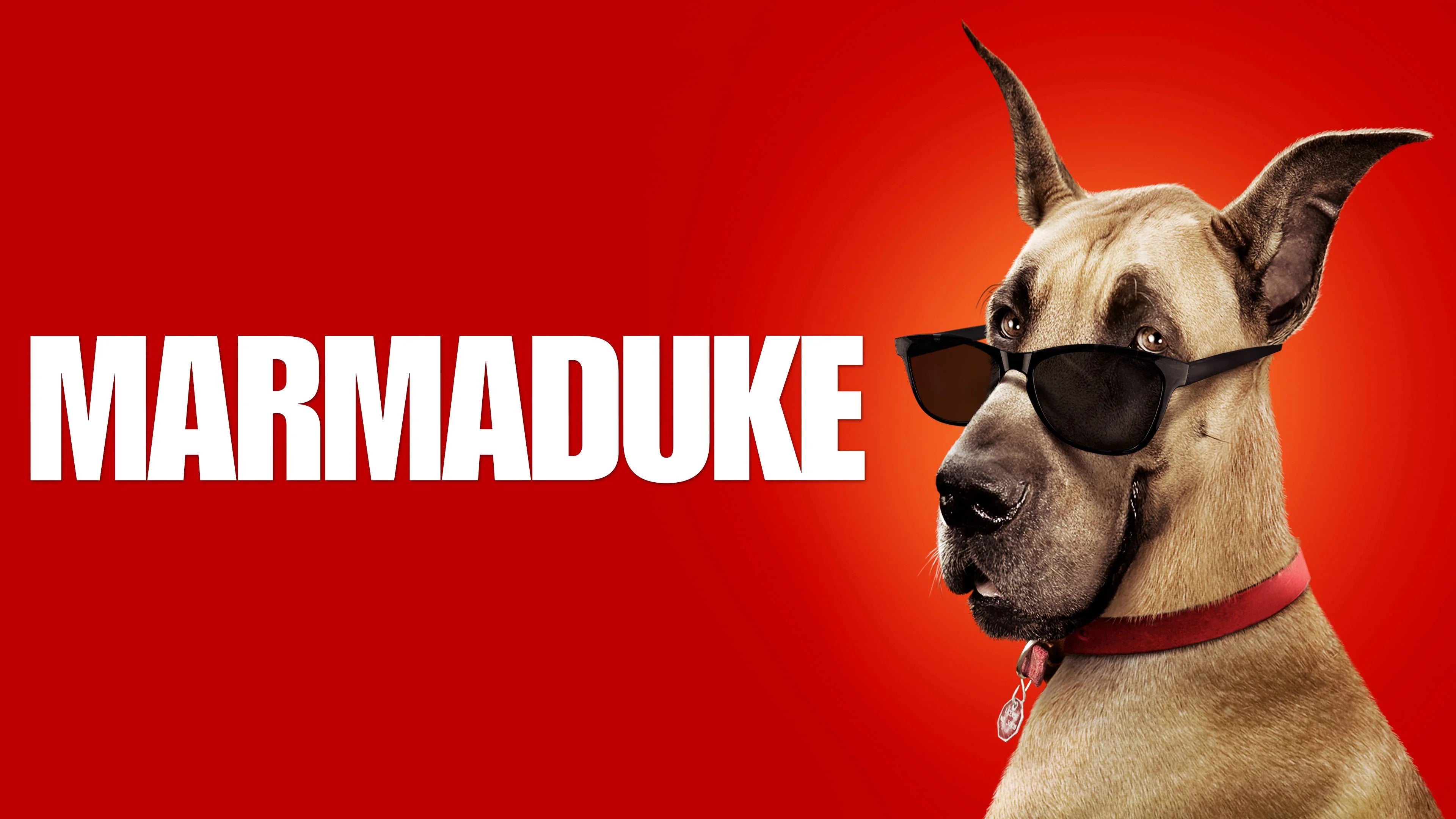 High quality Marmaduke (2010) prints online - Popcorn Poster Official