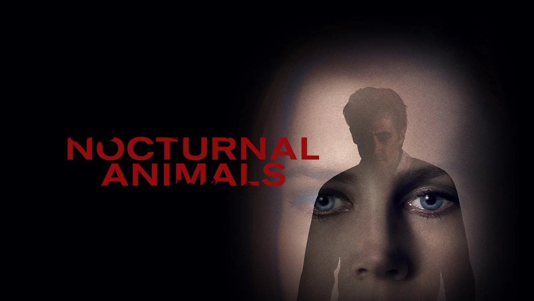 High quality Nocturnal Animals (2016) prints online - Popcorn Poster Official